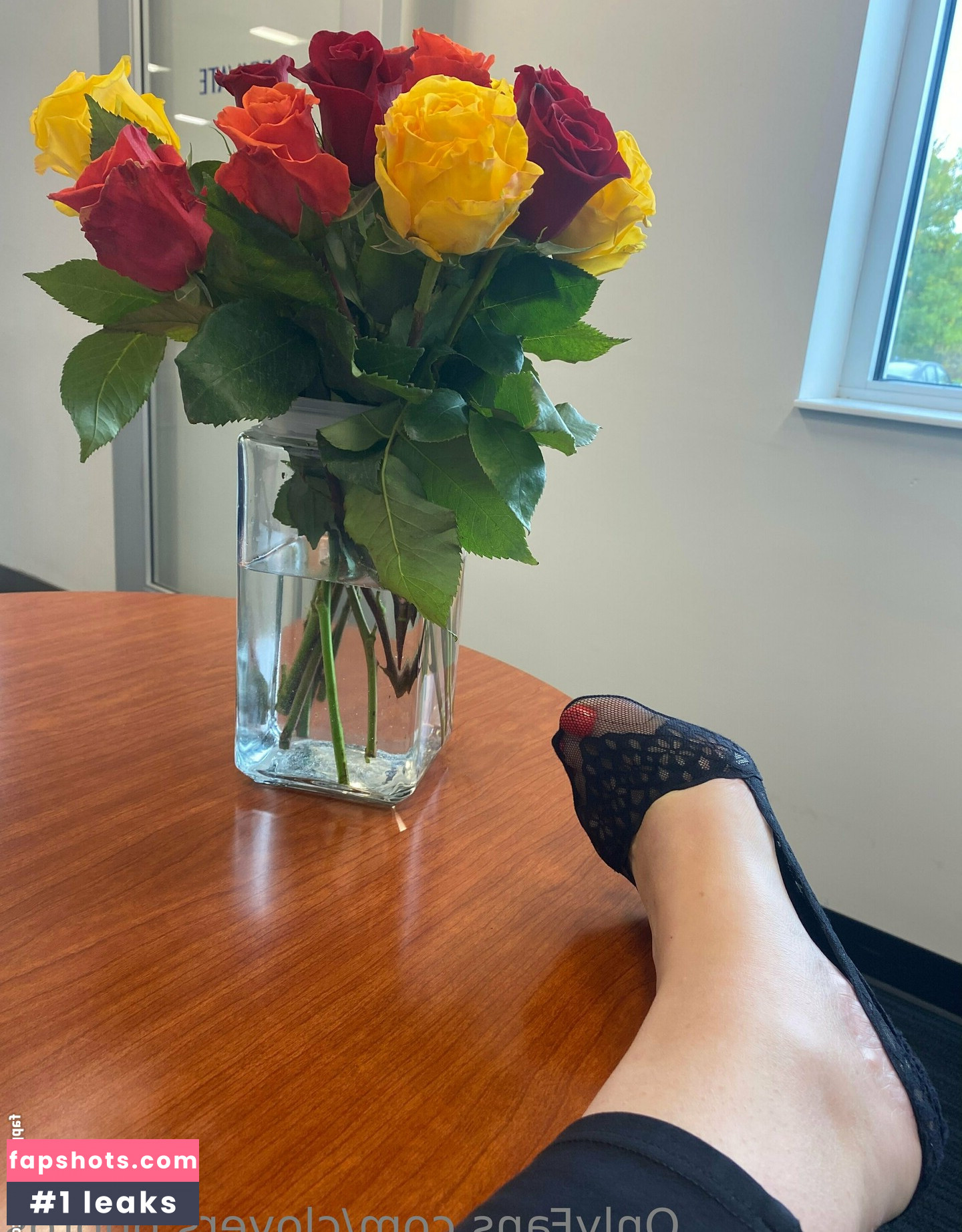 clovers.photos gallery photo #12