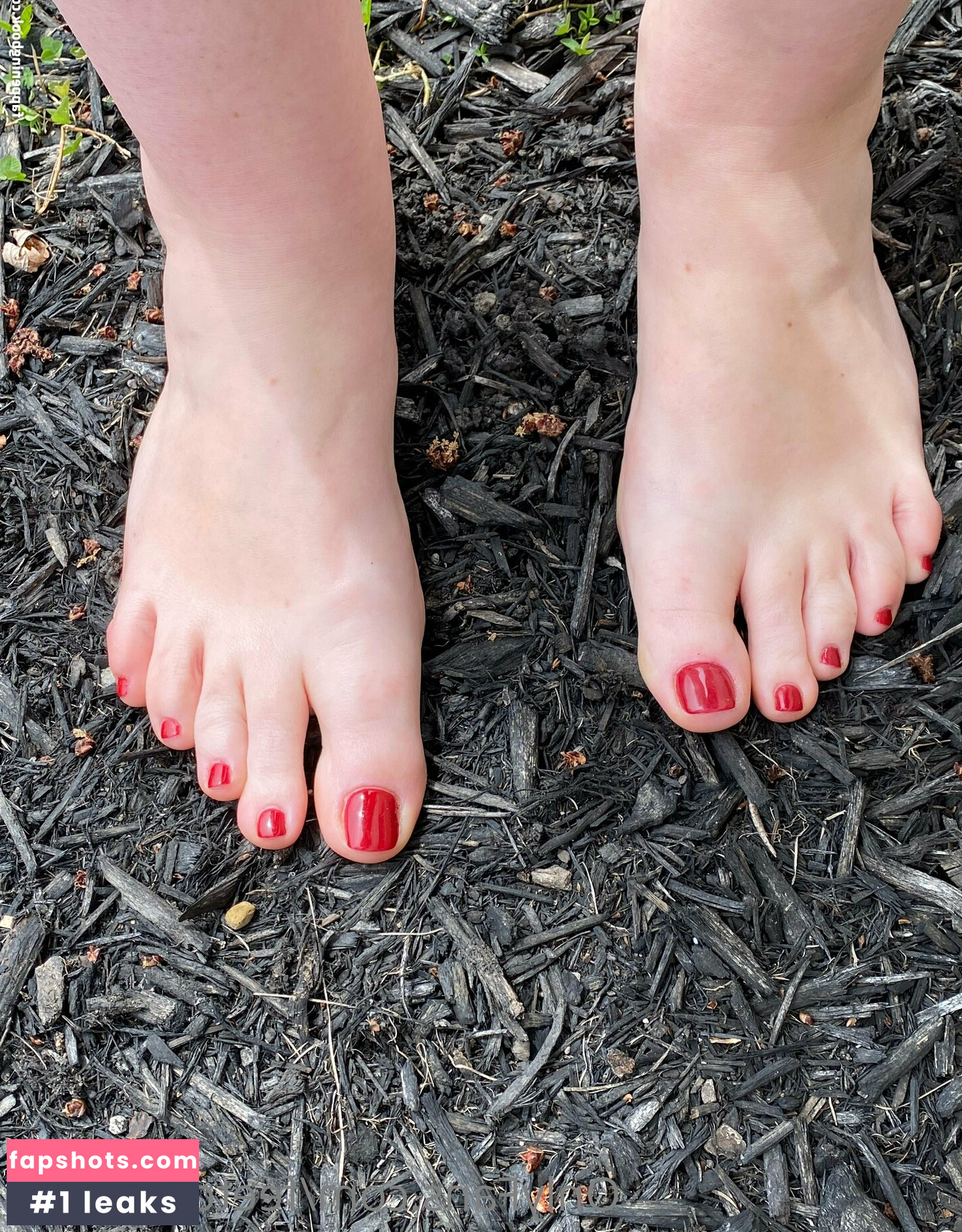 clovers.photos gallery photo #13