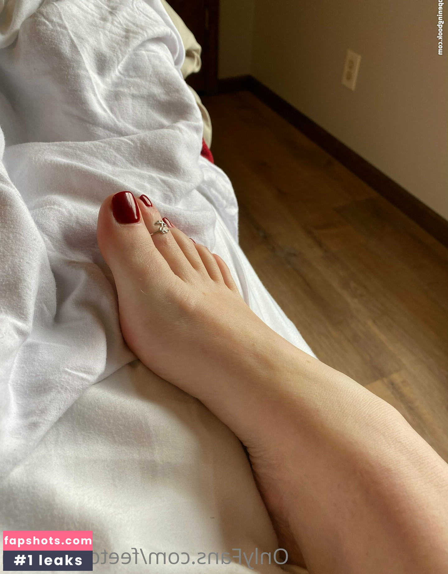 clovers.photos gallery photo #15