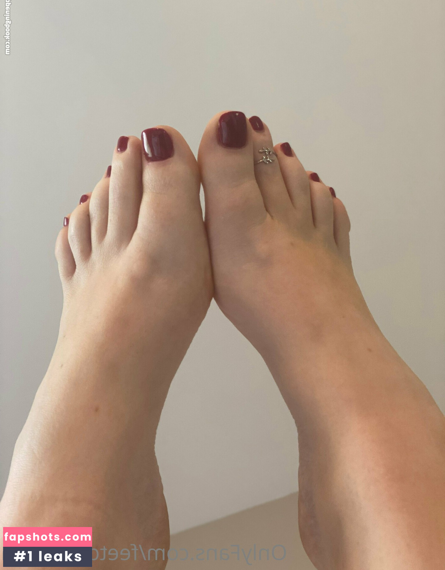 clovers.photos gallery photo #7