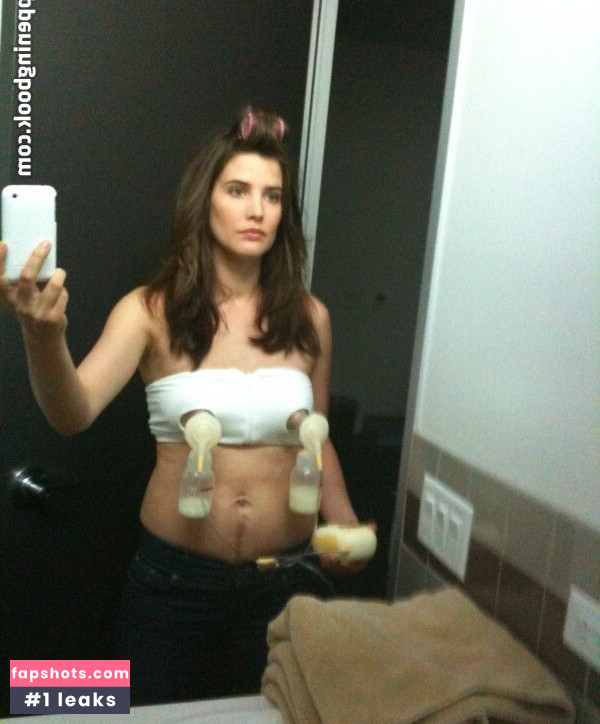 Cobie Smulders Nude Leaks OnlyFans Photos #59 - LeakJerk