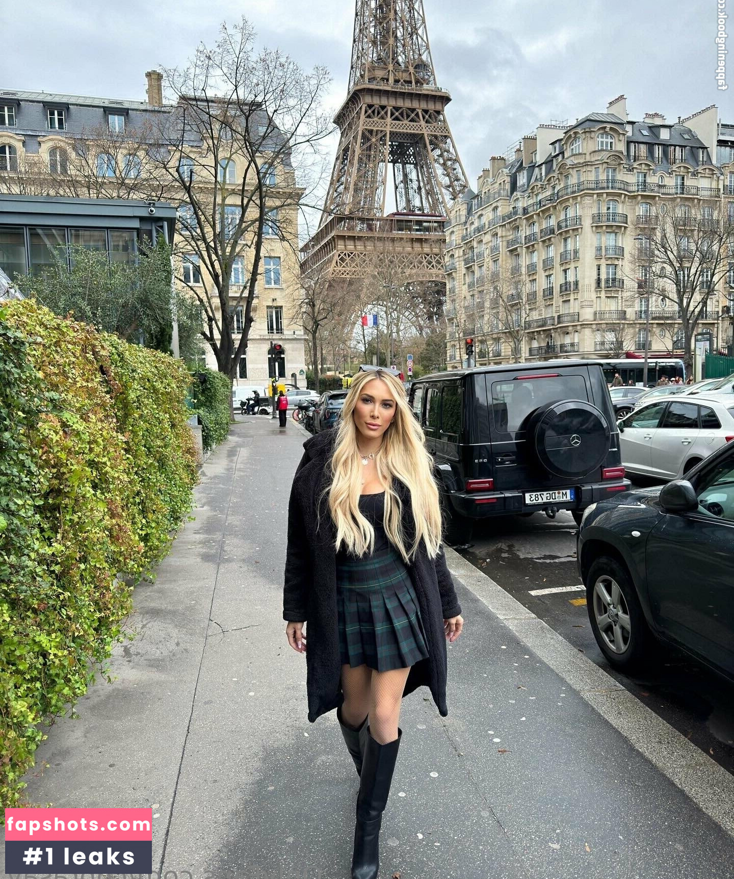 cobrasav gallery photo #11