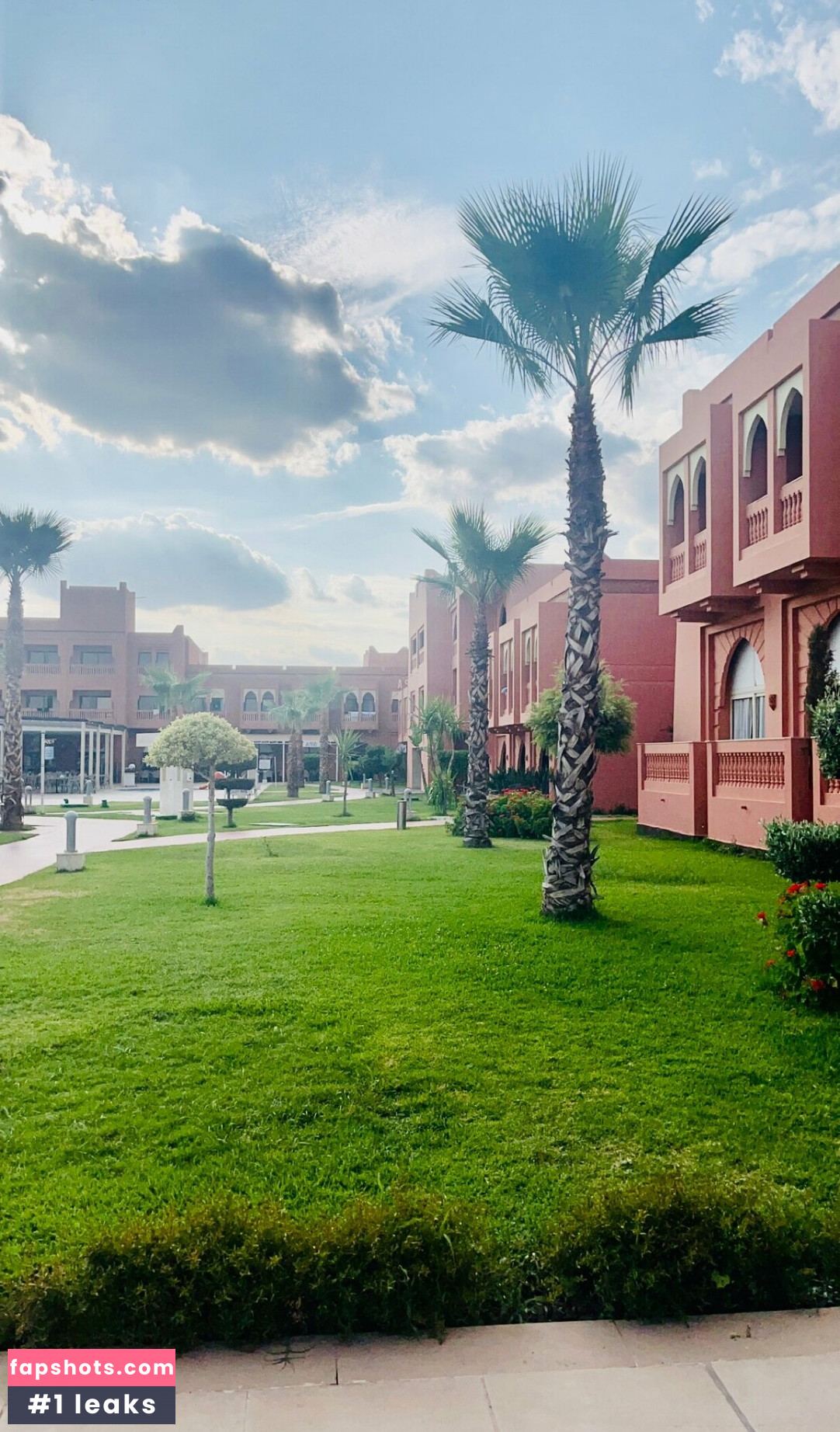 coco-lls gallery photo #2