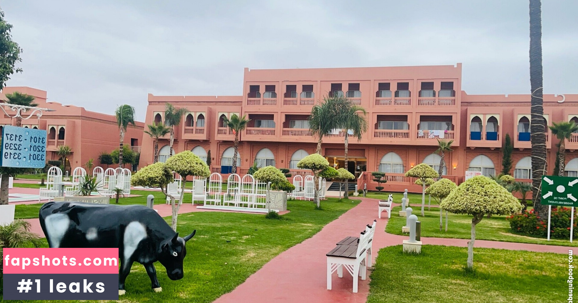 coco-lls gallery photo #3