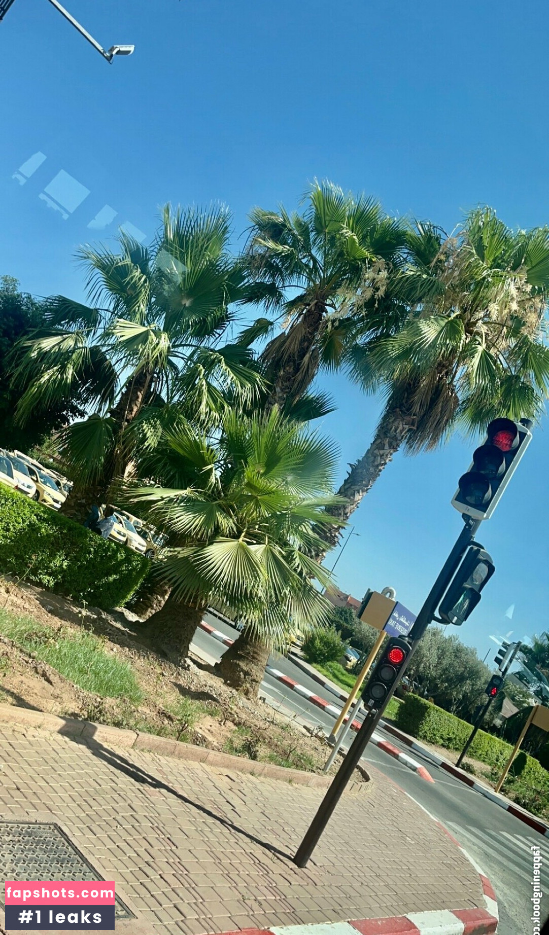 coco-lls gallery photo #4