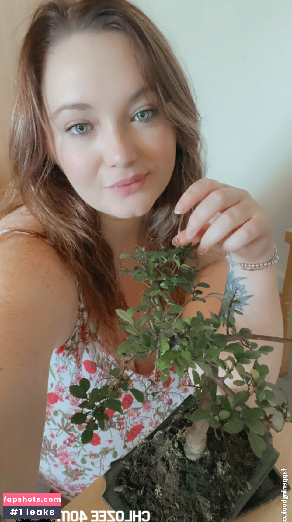 coco-lls gallery photo #35