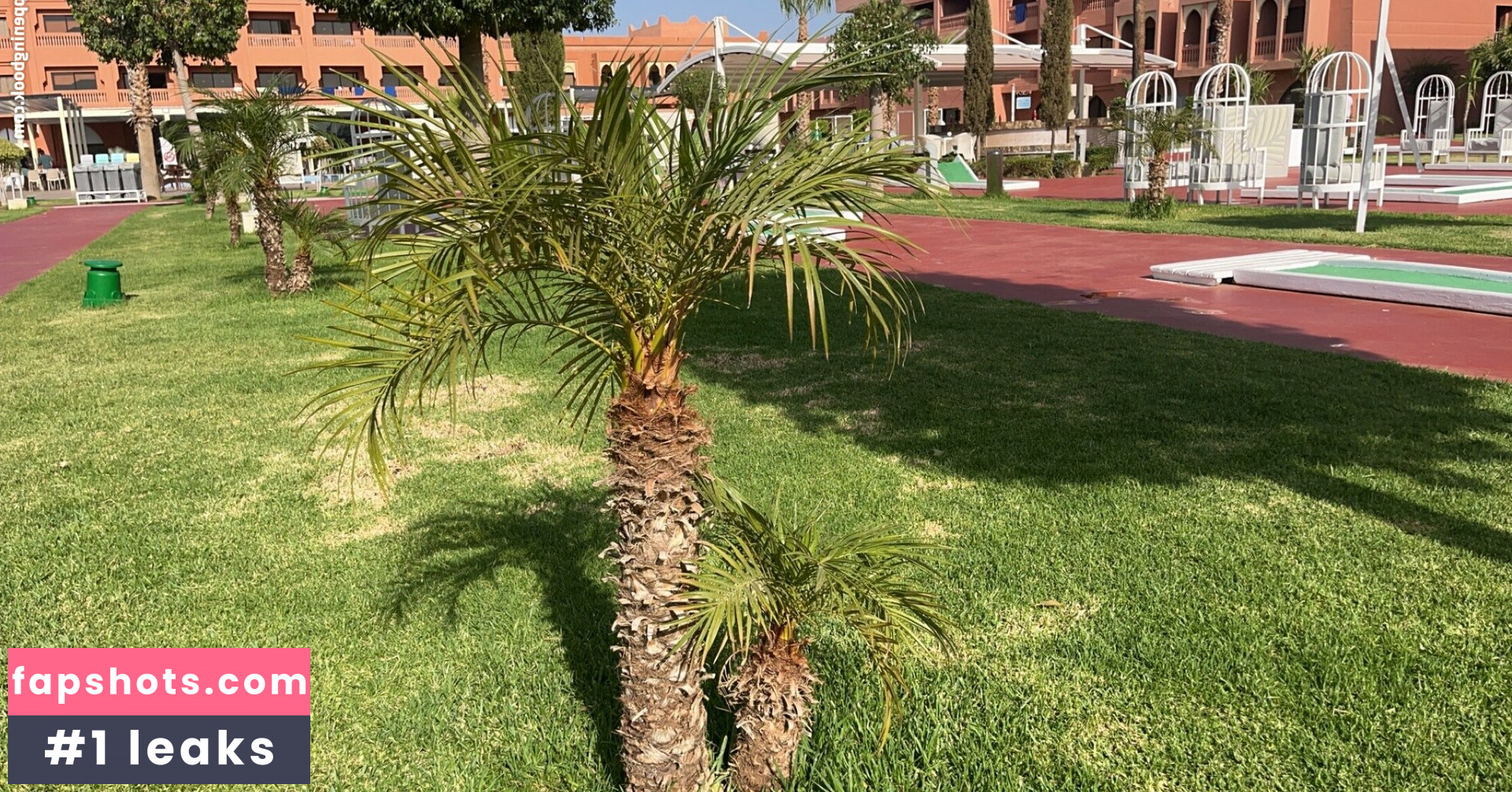 coco-lls gallery photo #8