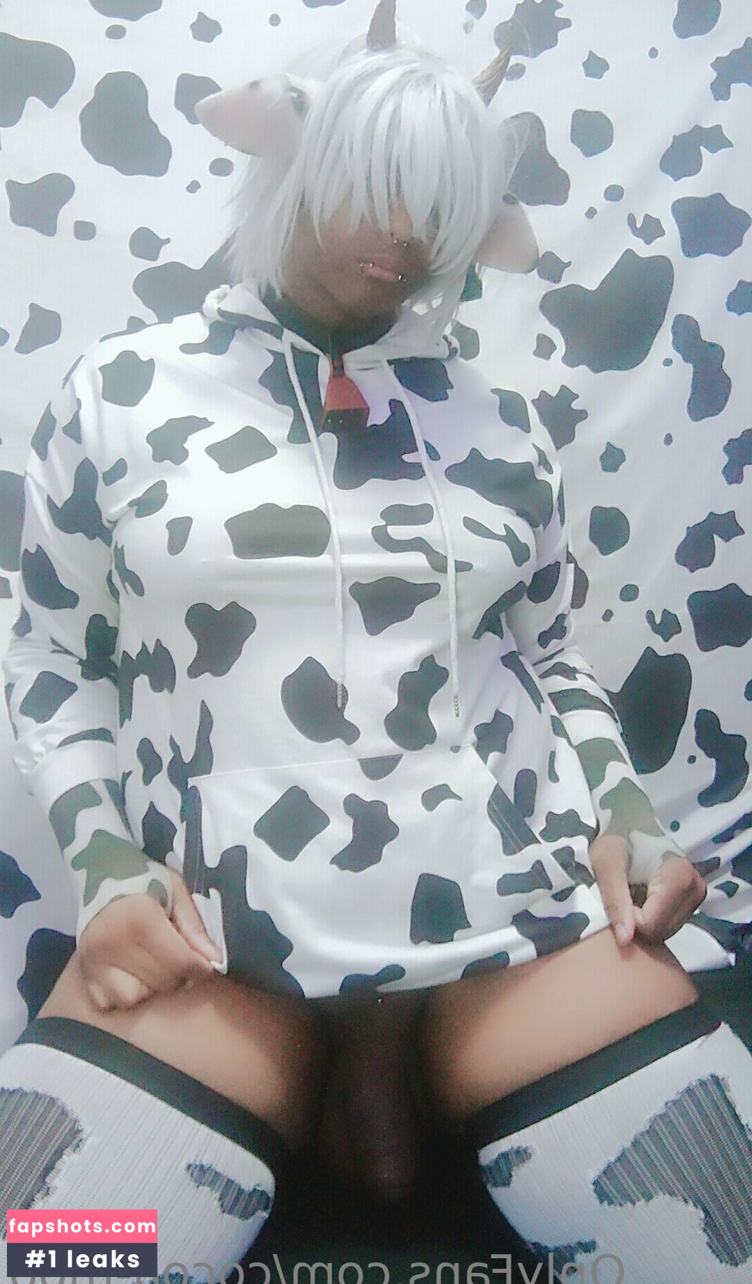 cocoa-moo gallery photo #20