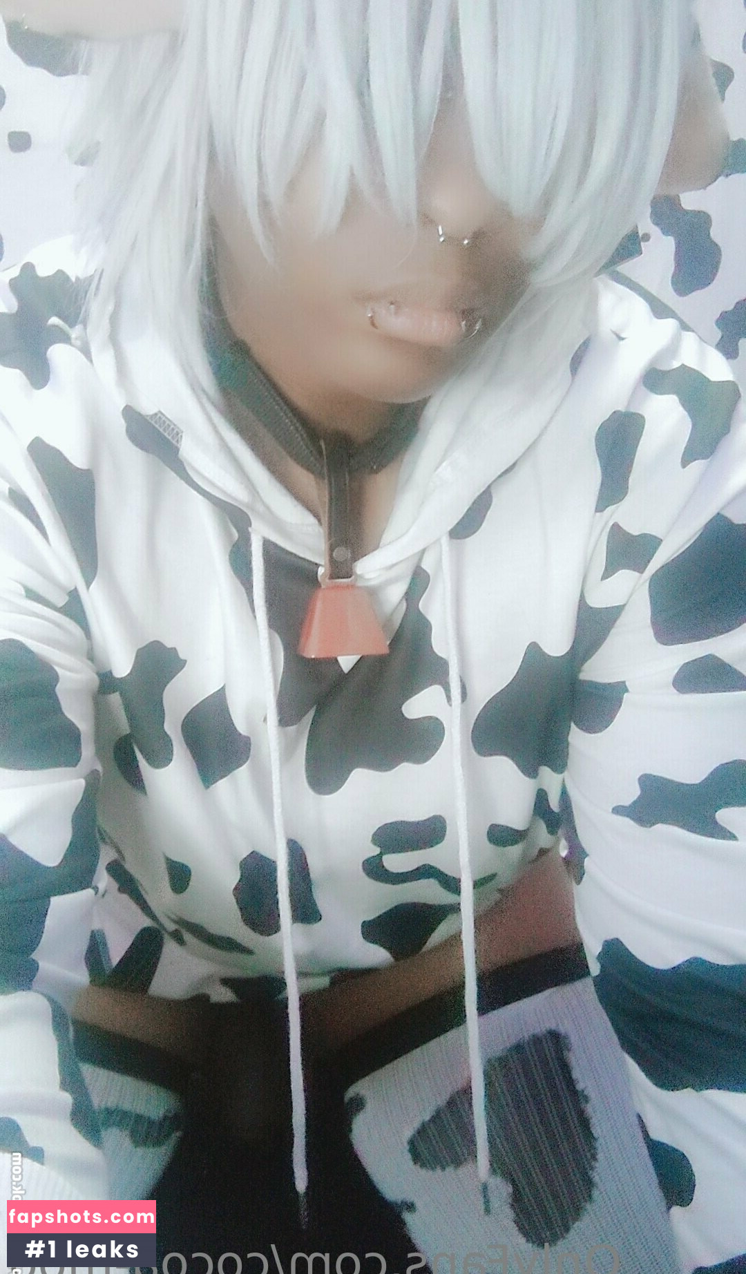 cocoa-moo gallery photo #7