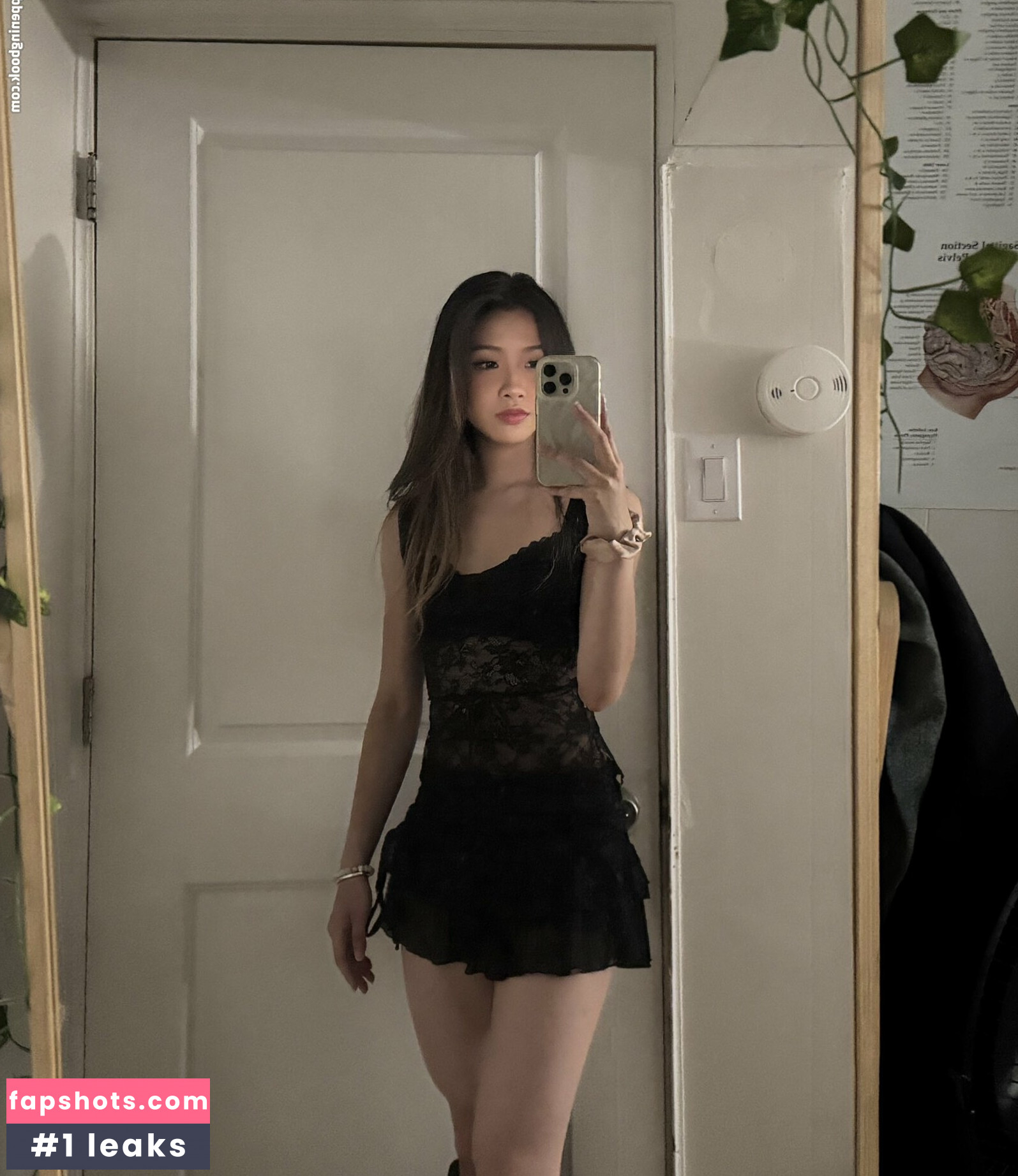 Cocoimao gallery photo #3