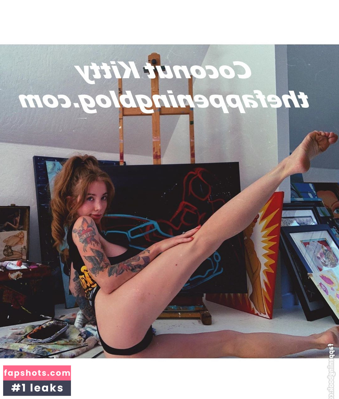 Coconut Kitty gallery photo #69