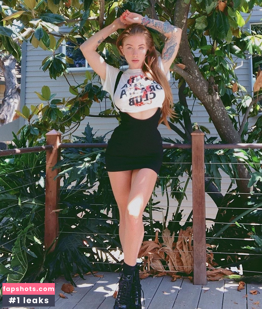 Coconut Kitty gallery photo #100