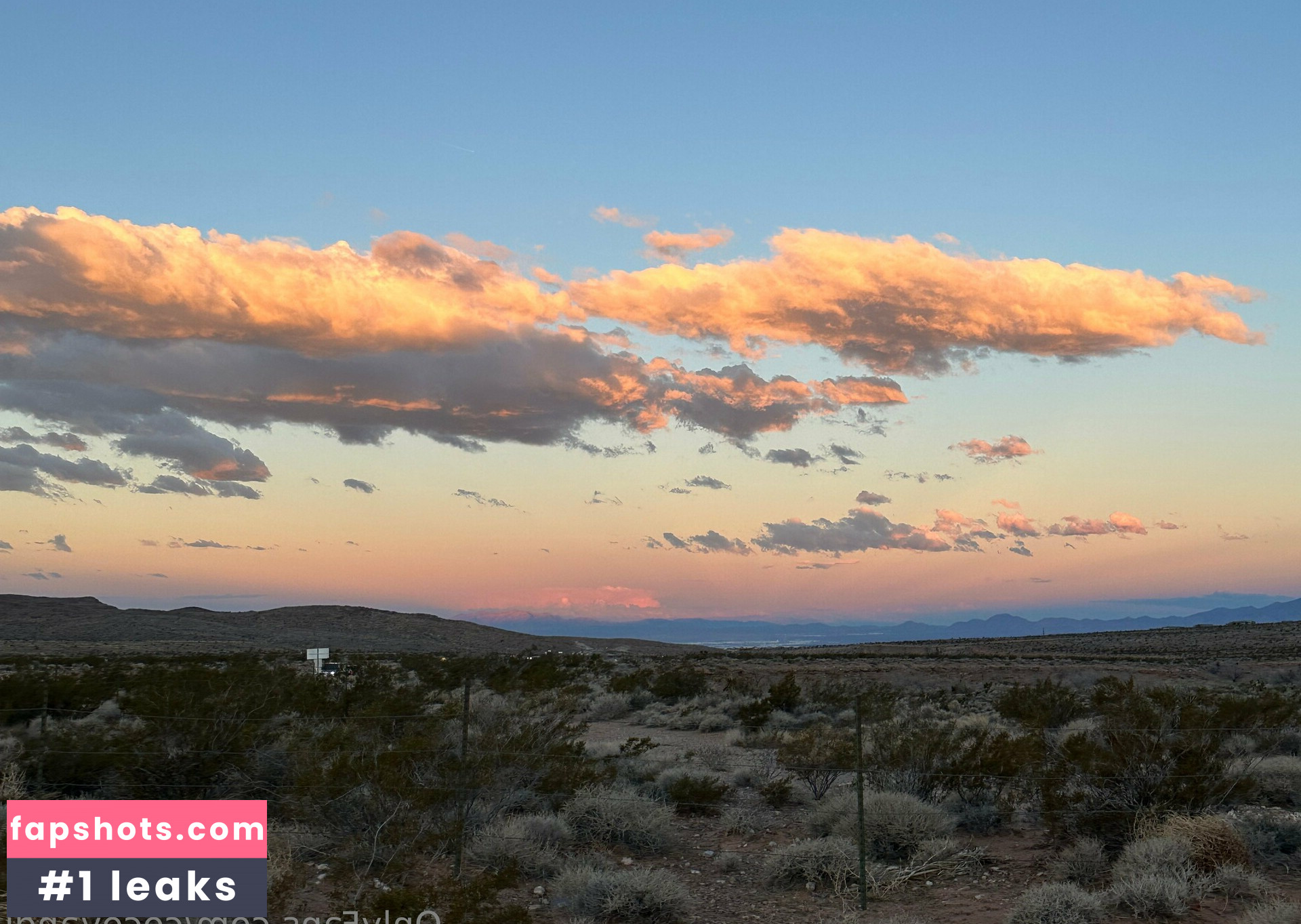 cocovandi gallery photo #71