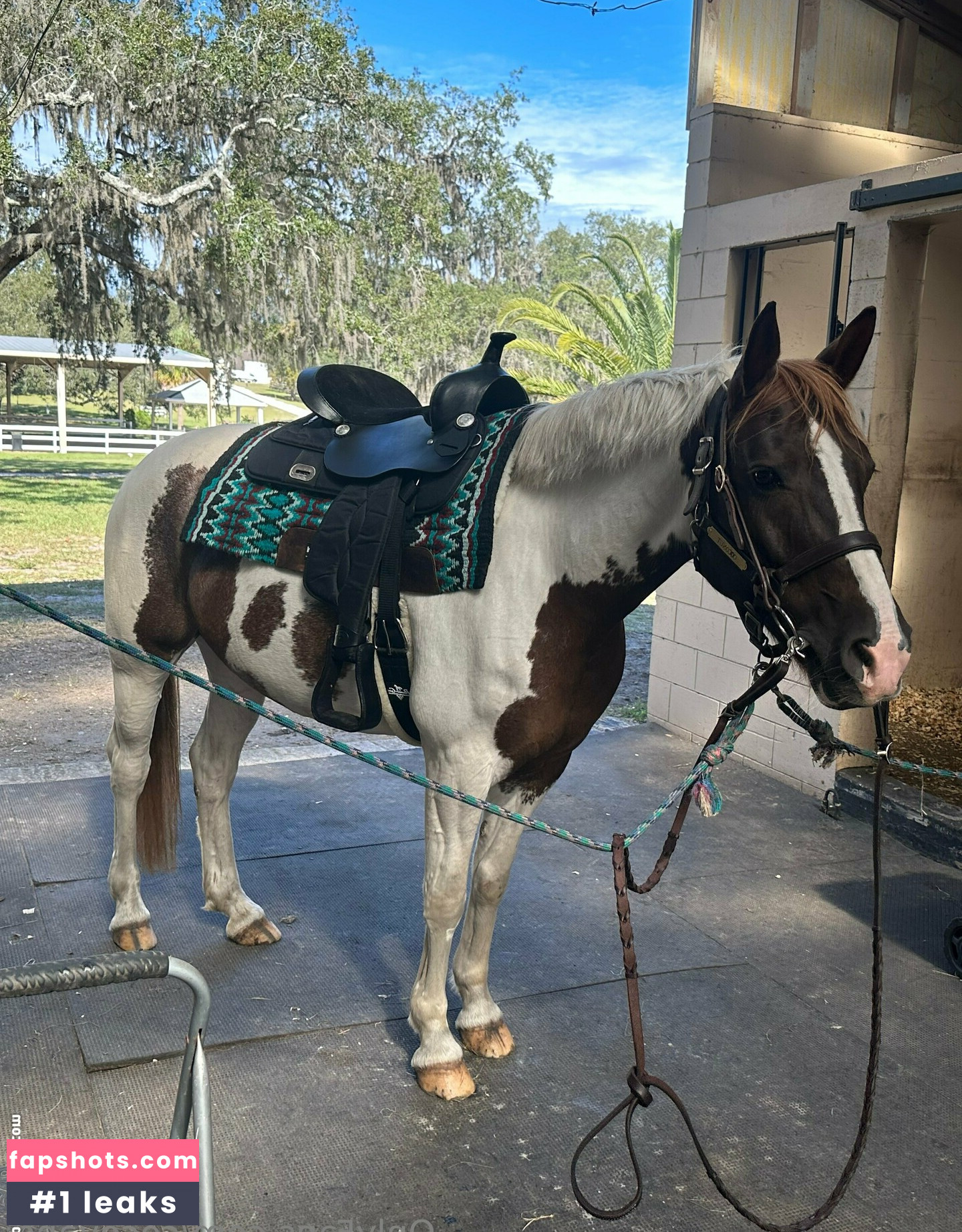 cocovandi gallery photo #75