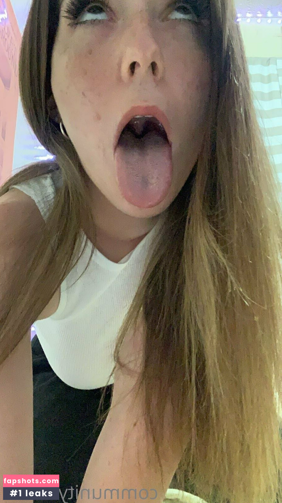 communityboo gallery photo #4