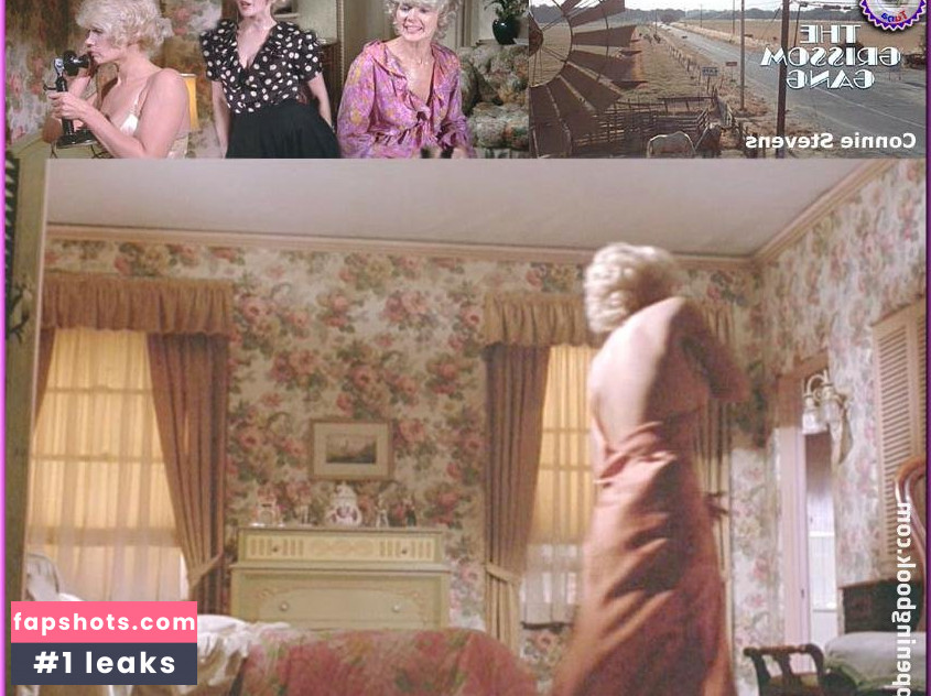 Connie Stevens gallery photo #24