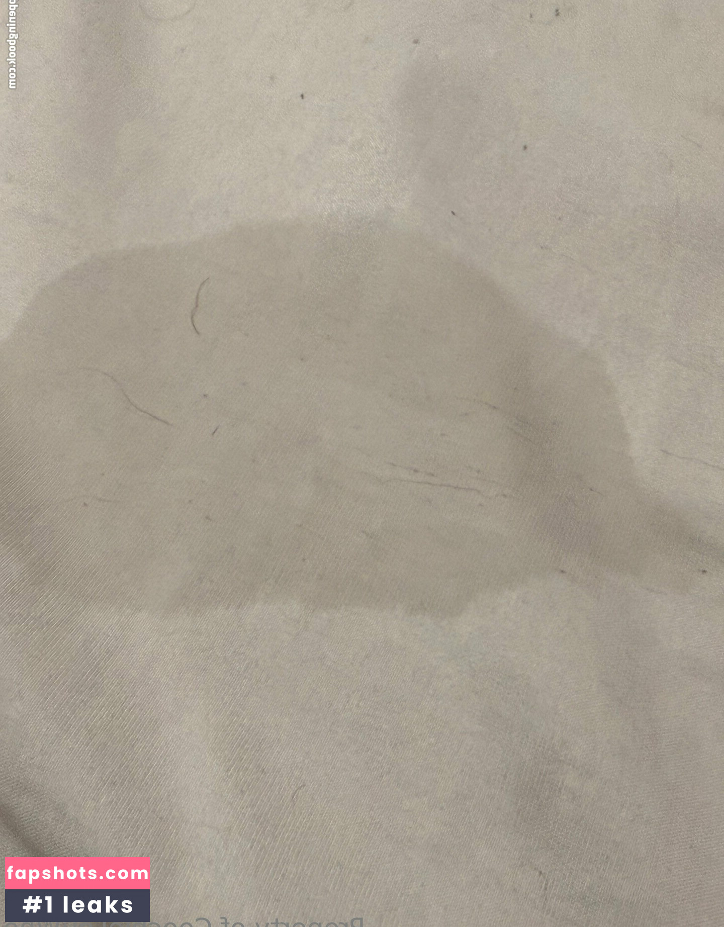 coochielouwho Nahé úniky fotek pouze od fanoušků #2 - Fapshots