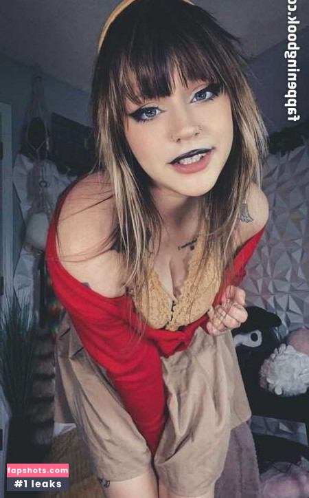 Coophound gallery photo #16