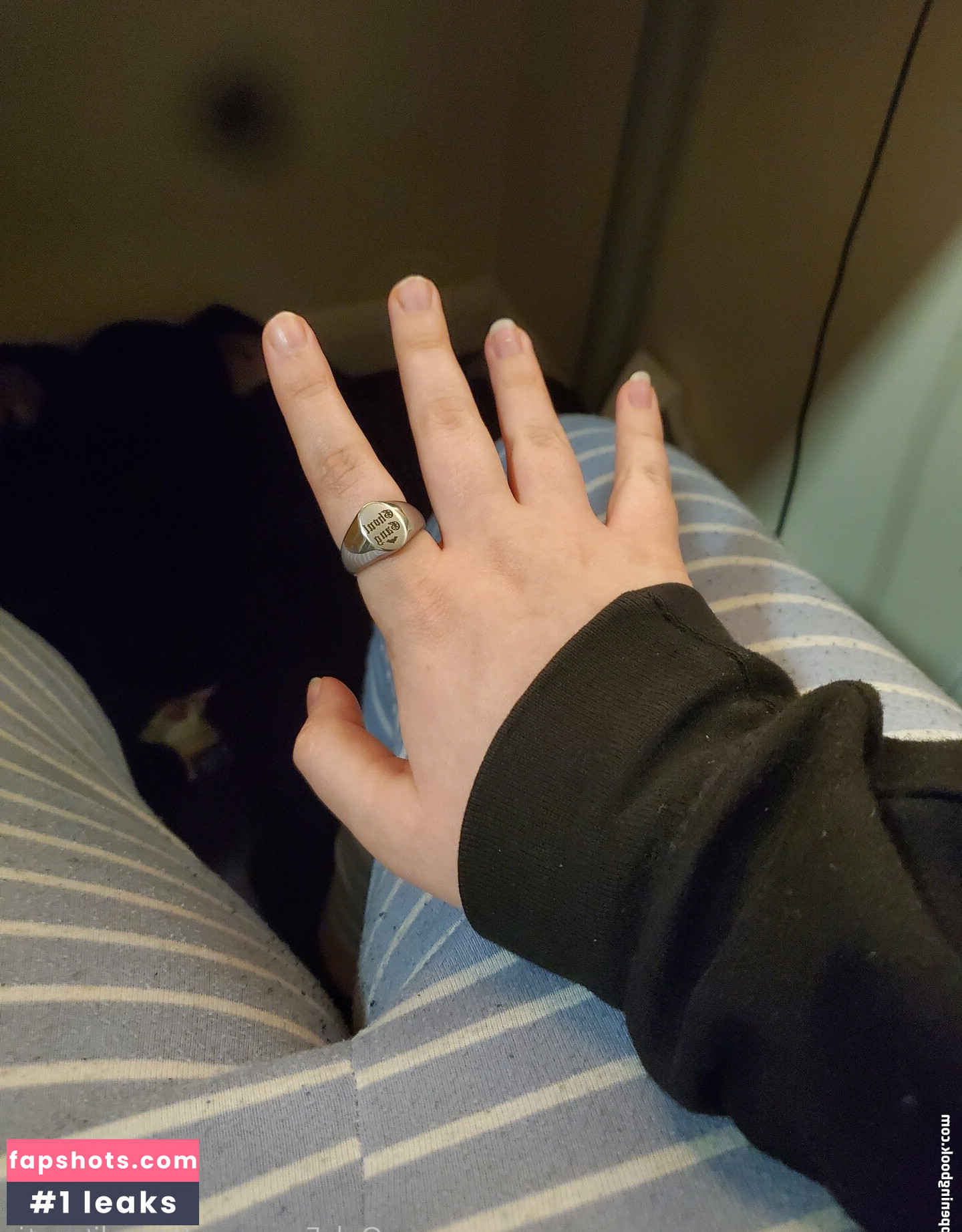 coprolitecutie gallery photo #6