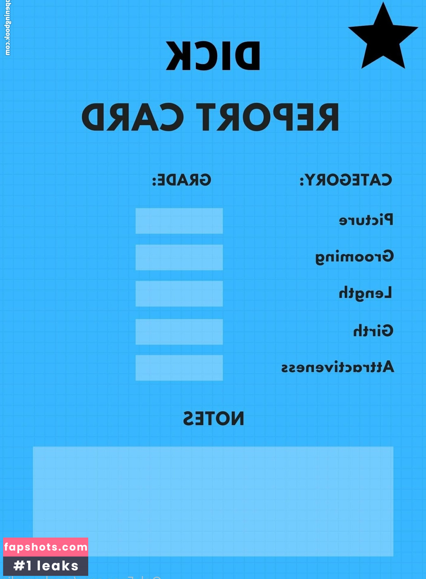 CoraBorealis gallery photo #46