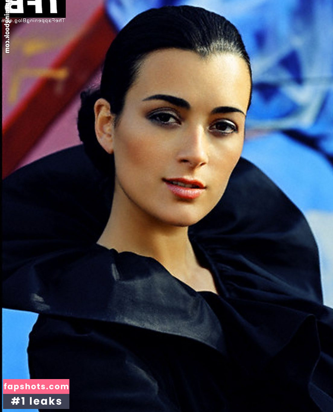 Cote de Pablo Nude Leaks OnlyFans Photos #49 - LeakJerk