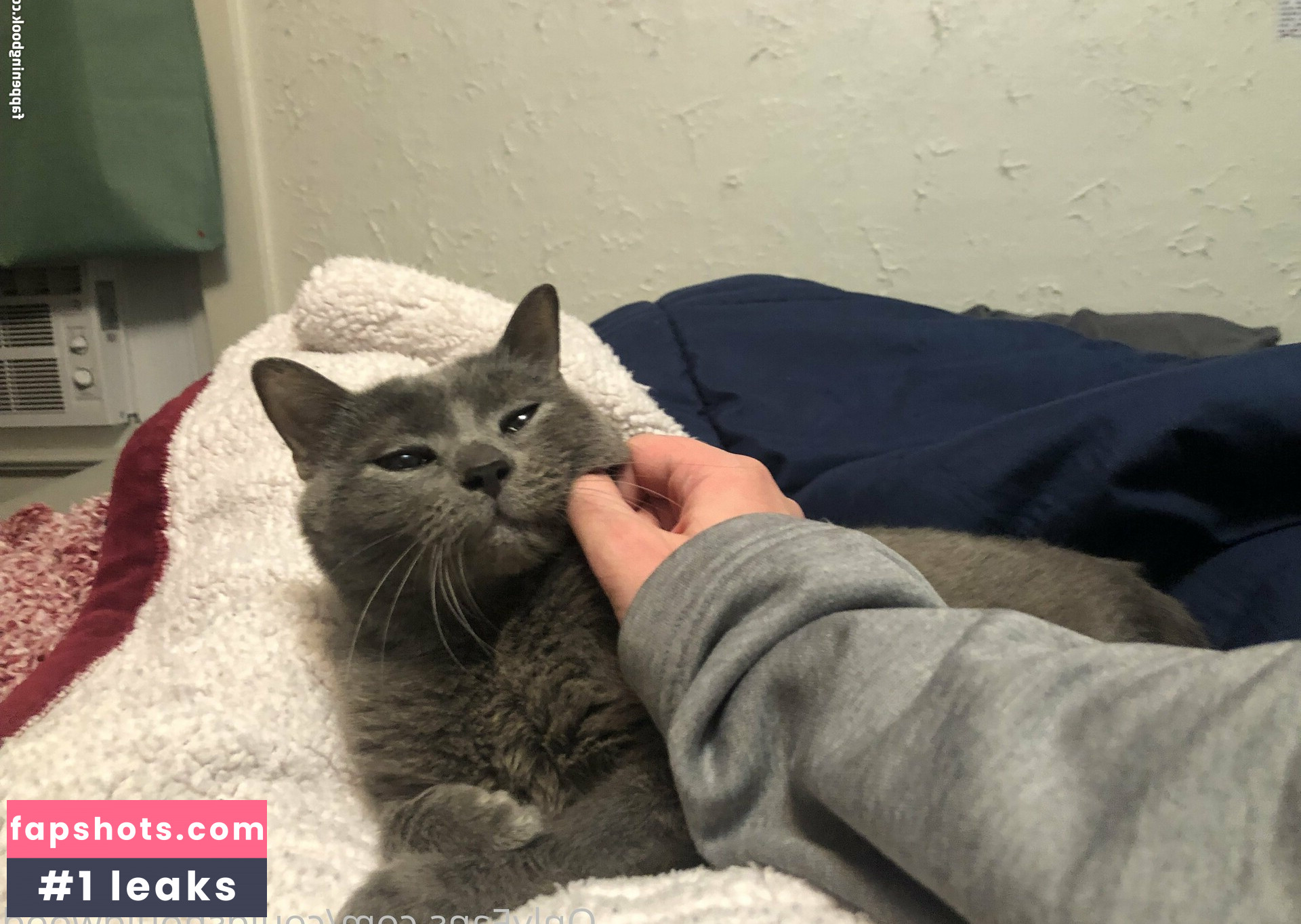 couldshouldwood gallery photo #14