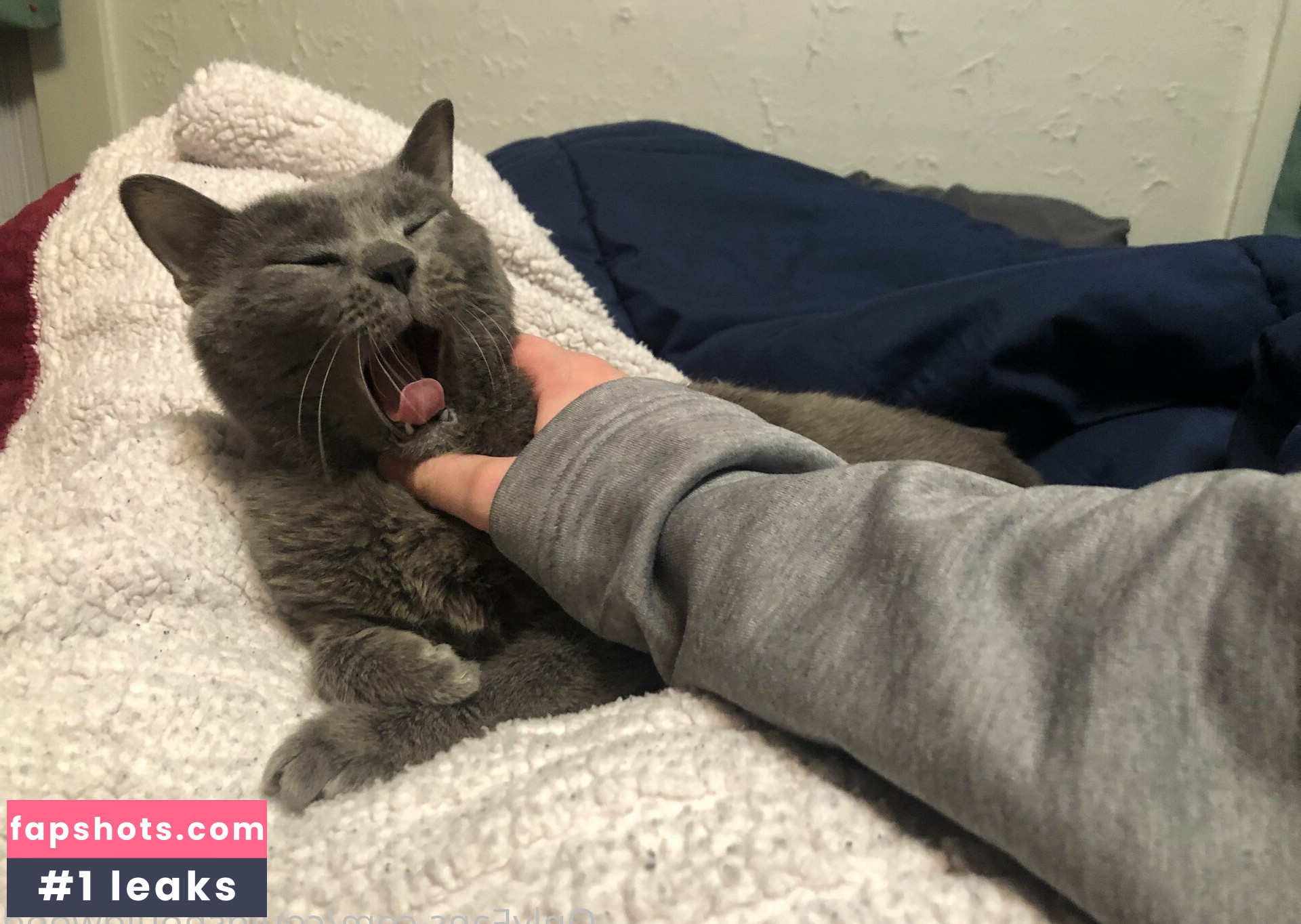 couldshouldwood gallery photo #23