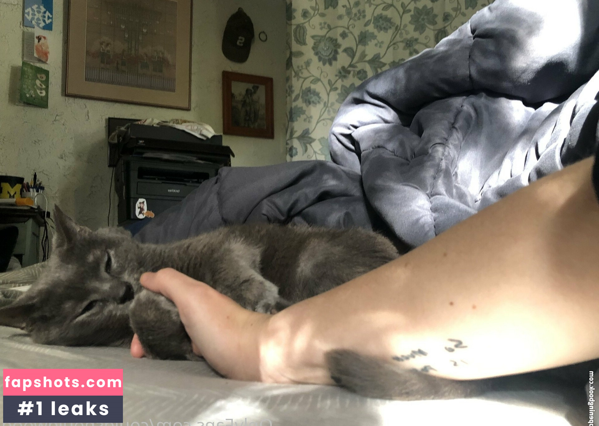 couldshouldwood gallery photo #29