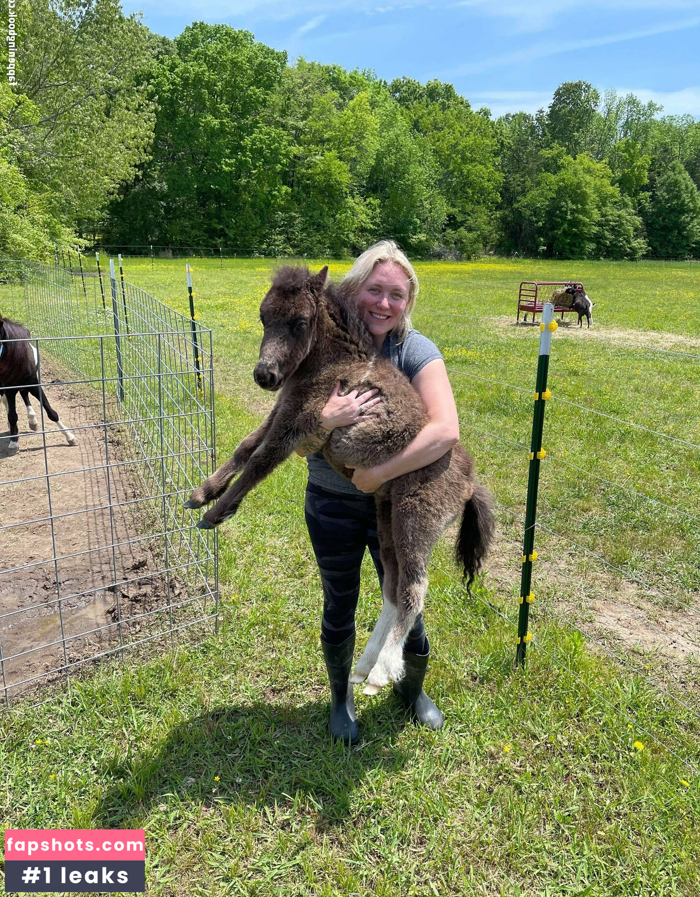 countrycockqueenfree gallery photo #5