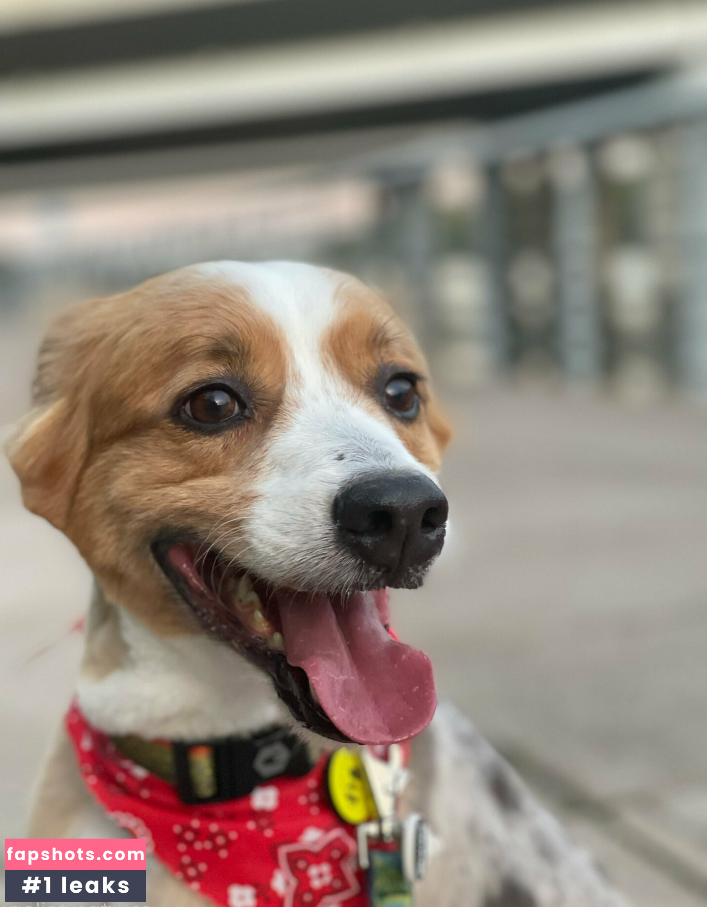 Courtney Taylor Nude Leaks OnlyFans Photos #130 - LeakJerk