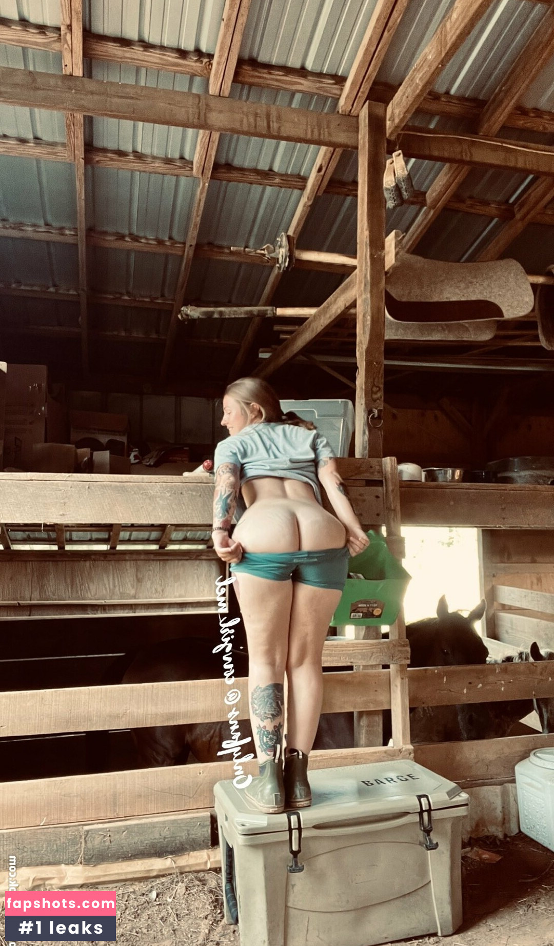 Cowgirl Mel gallery photo #8