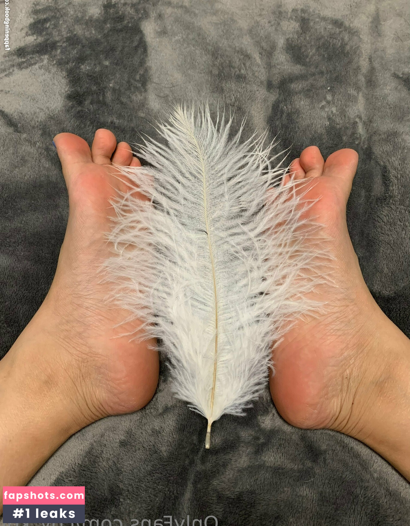 coy_koi Nahé úniky fotek pouze od fanoušků #29 - Fapshots