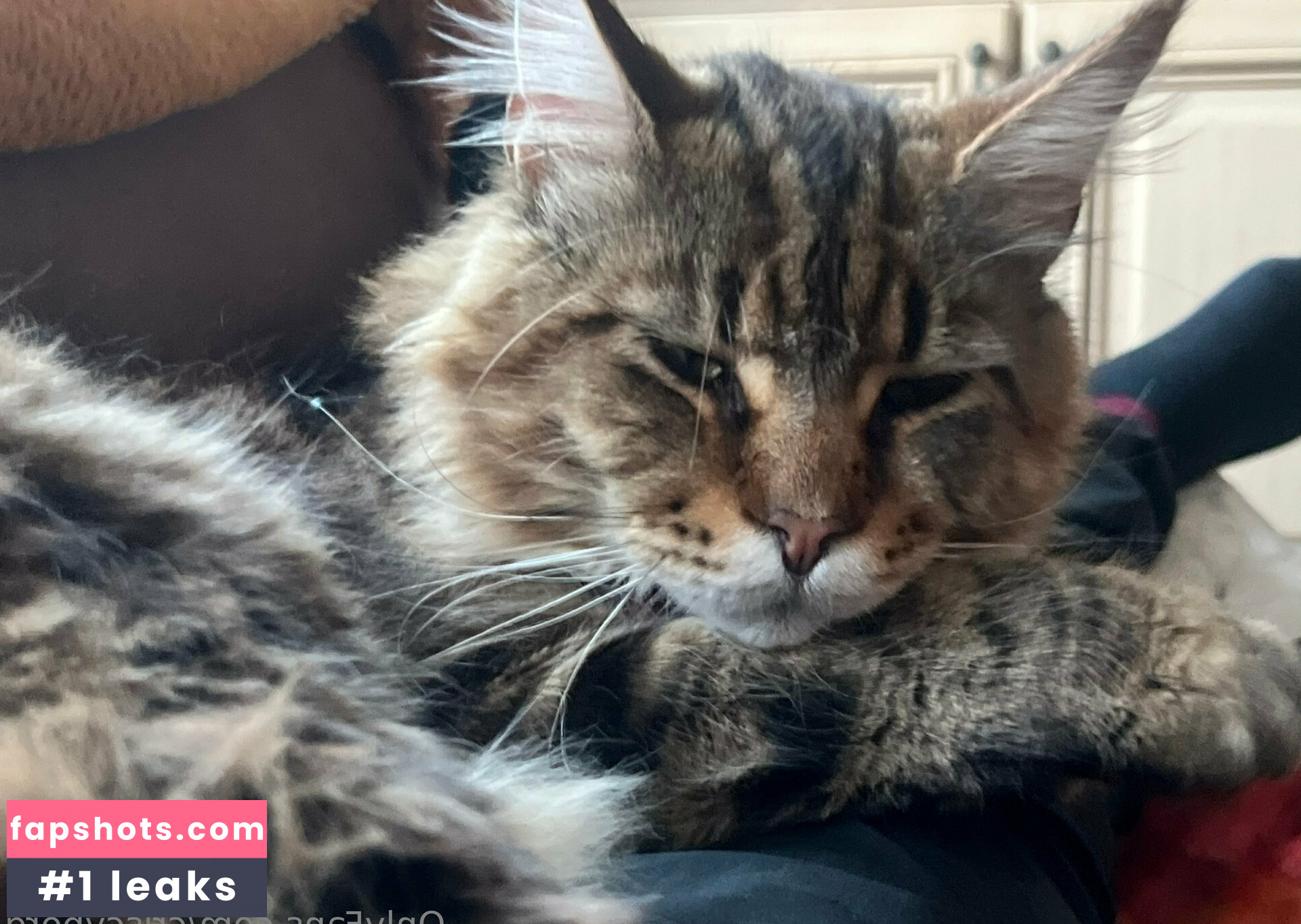 criscyborg Nahé úniky fotek pouze od fanoušků #18 - Fapshots