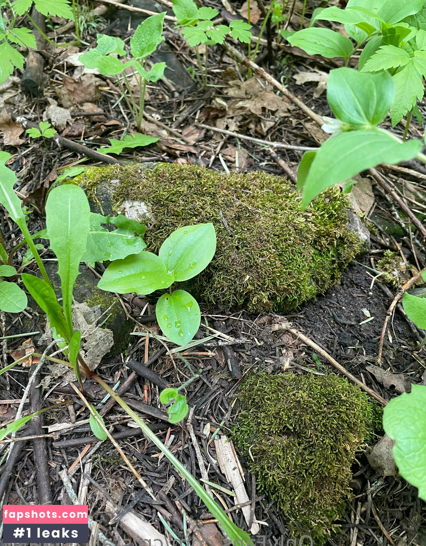 crystallizedfairy gallery photo #23