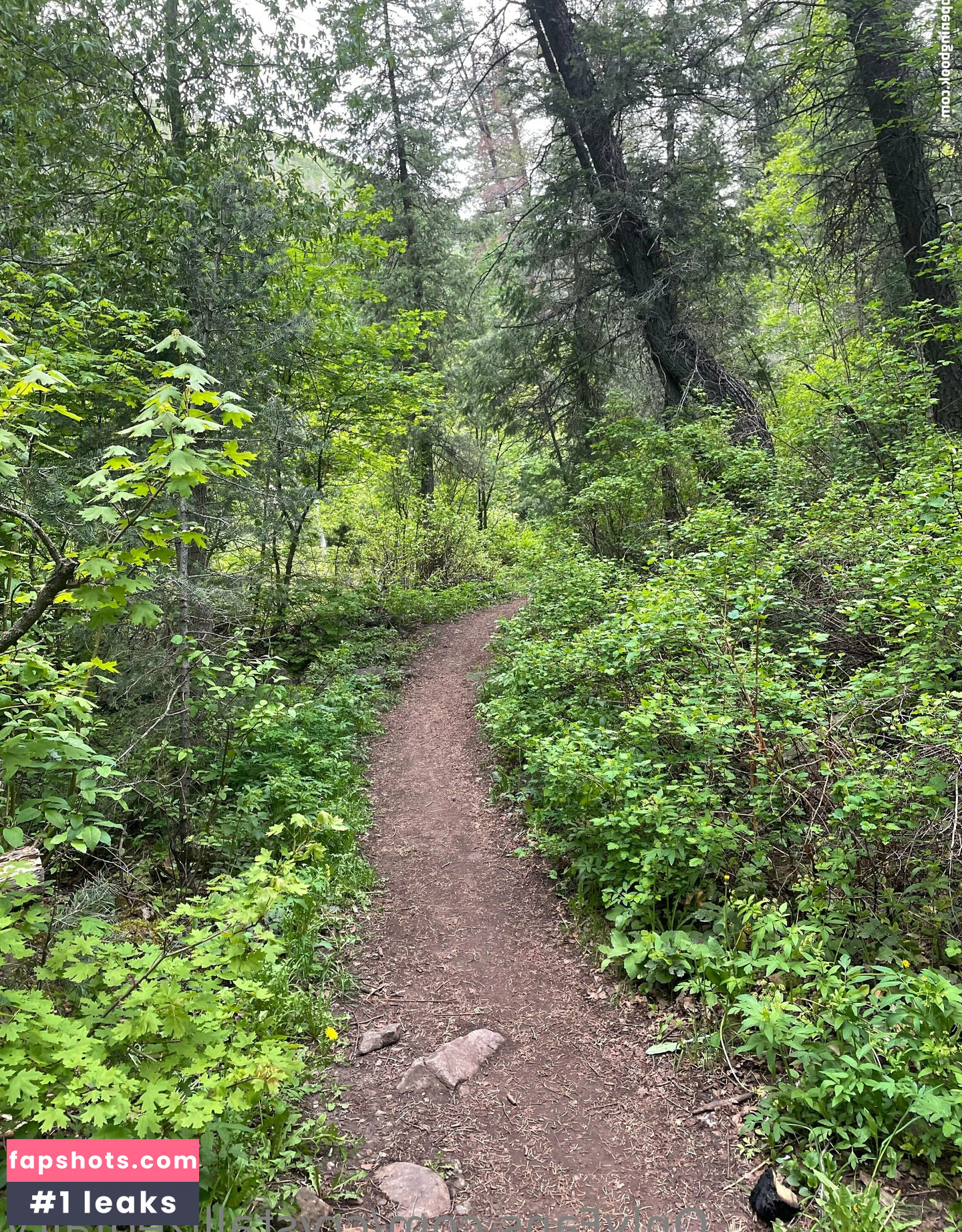 crystallizedfairy gallery photo #33