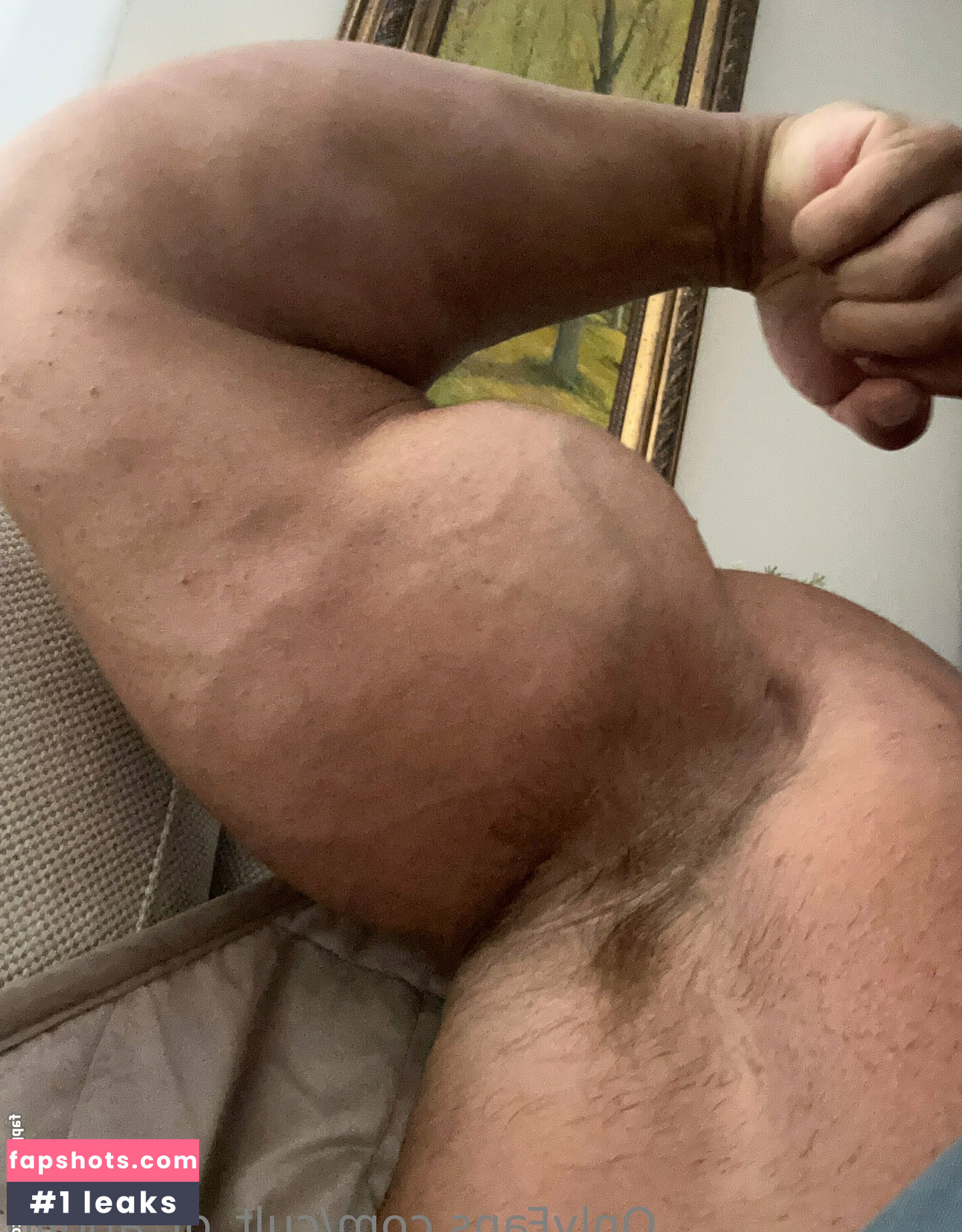 cult_of_apollo gallery photo #2