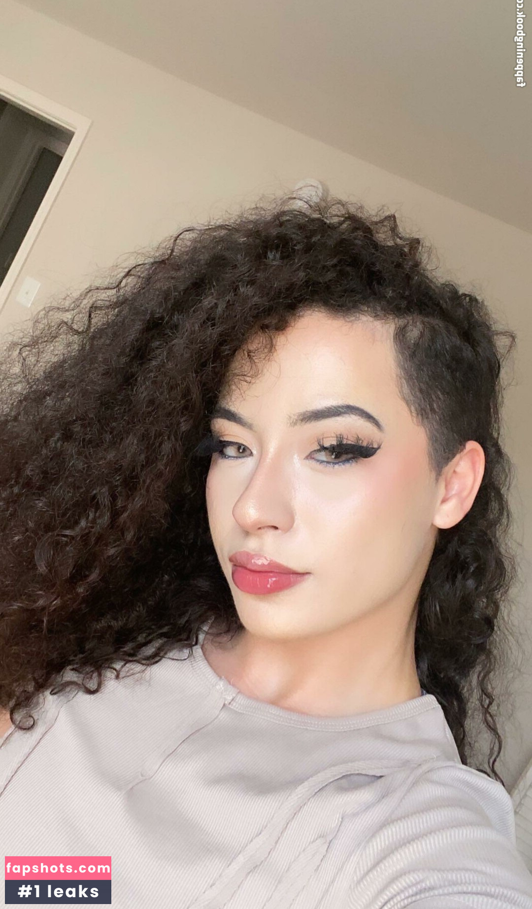 Curly Exotic gallery photo #17