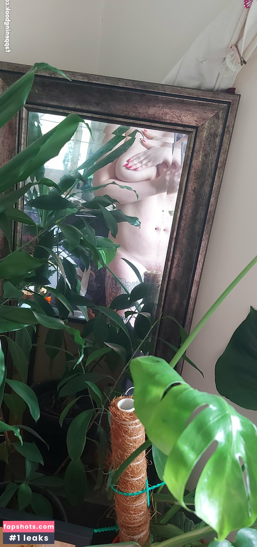 curvy_ali gallery photo #34