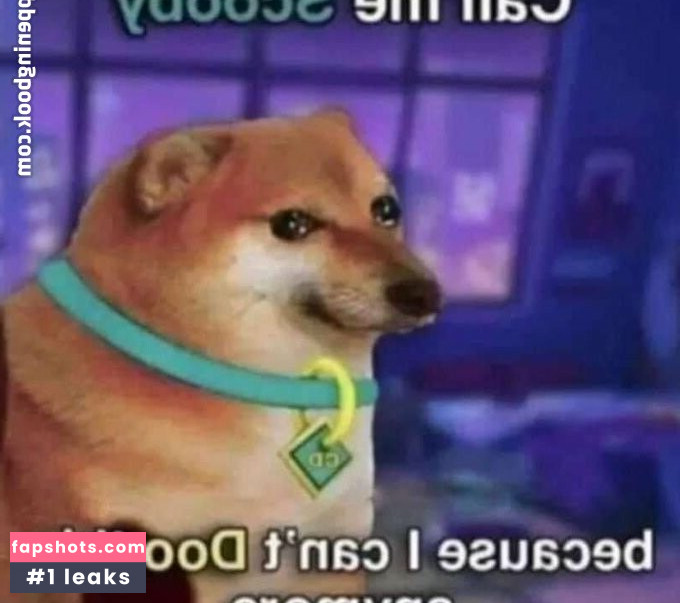 Cute__foxy gallery photo #3