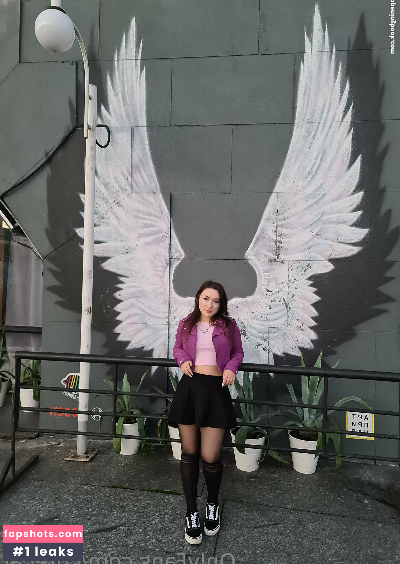 Cutecat gallery photo #18