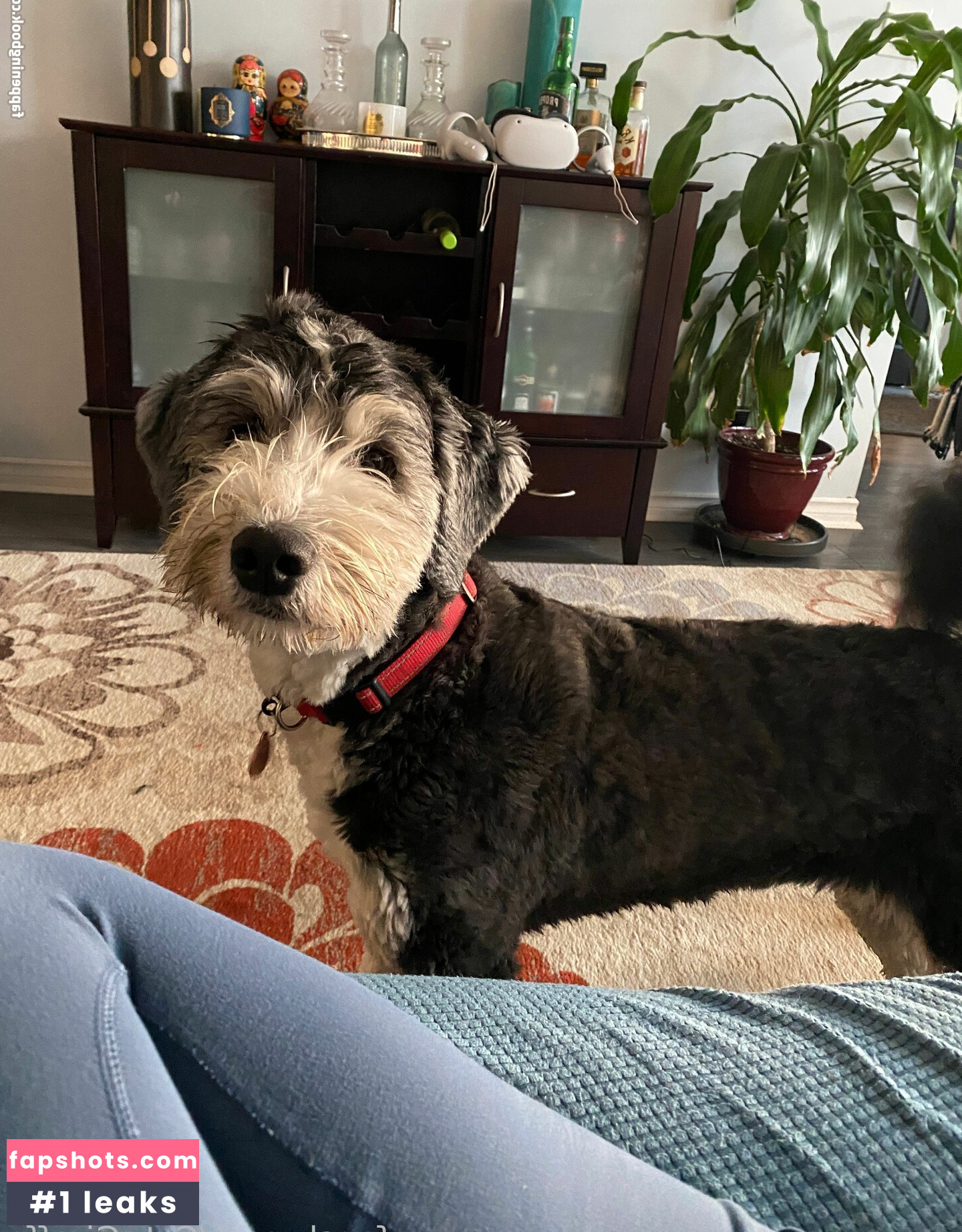 Cutegiraffe gallery photo #53