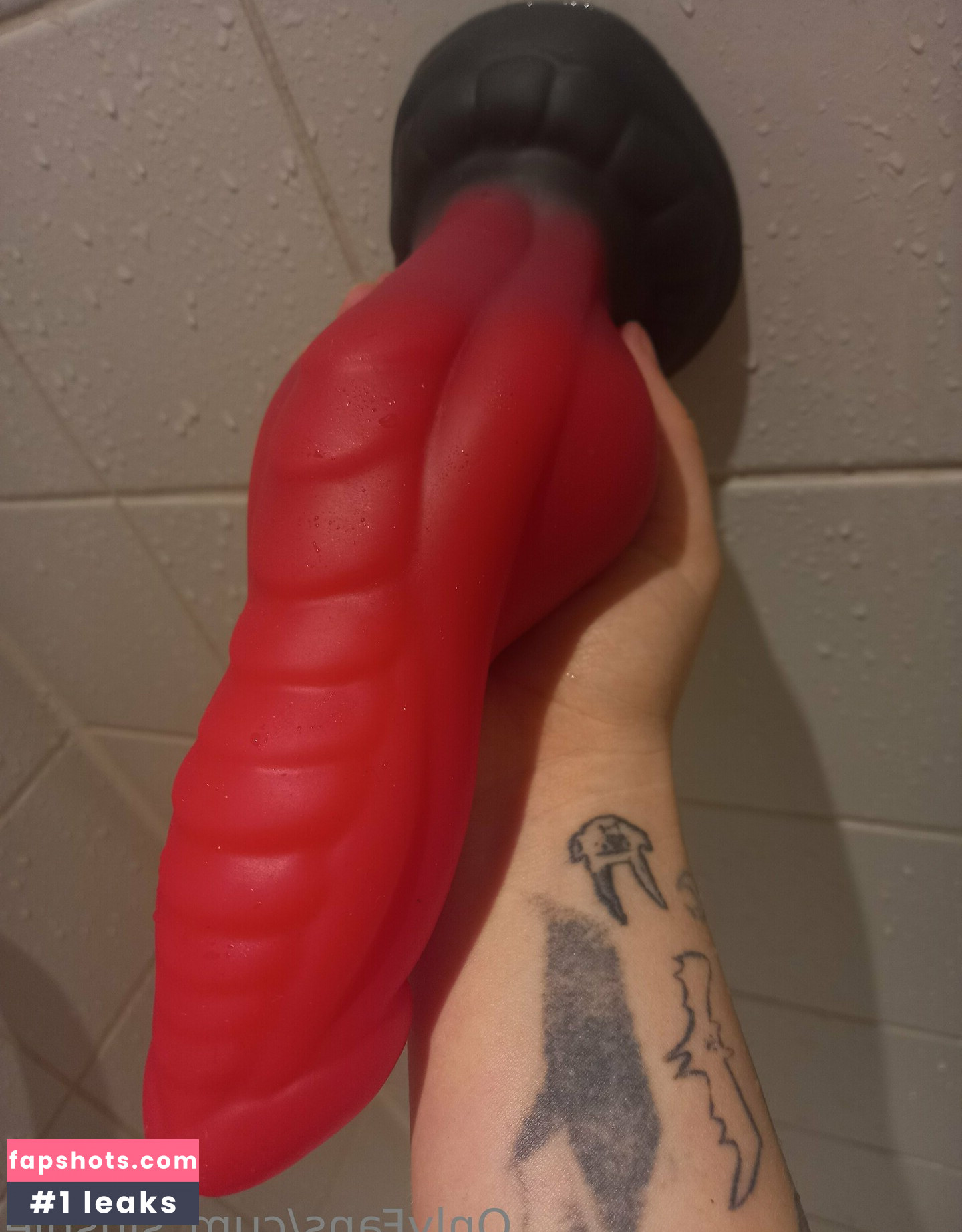 cvmslushie gallery photo #28