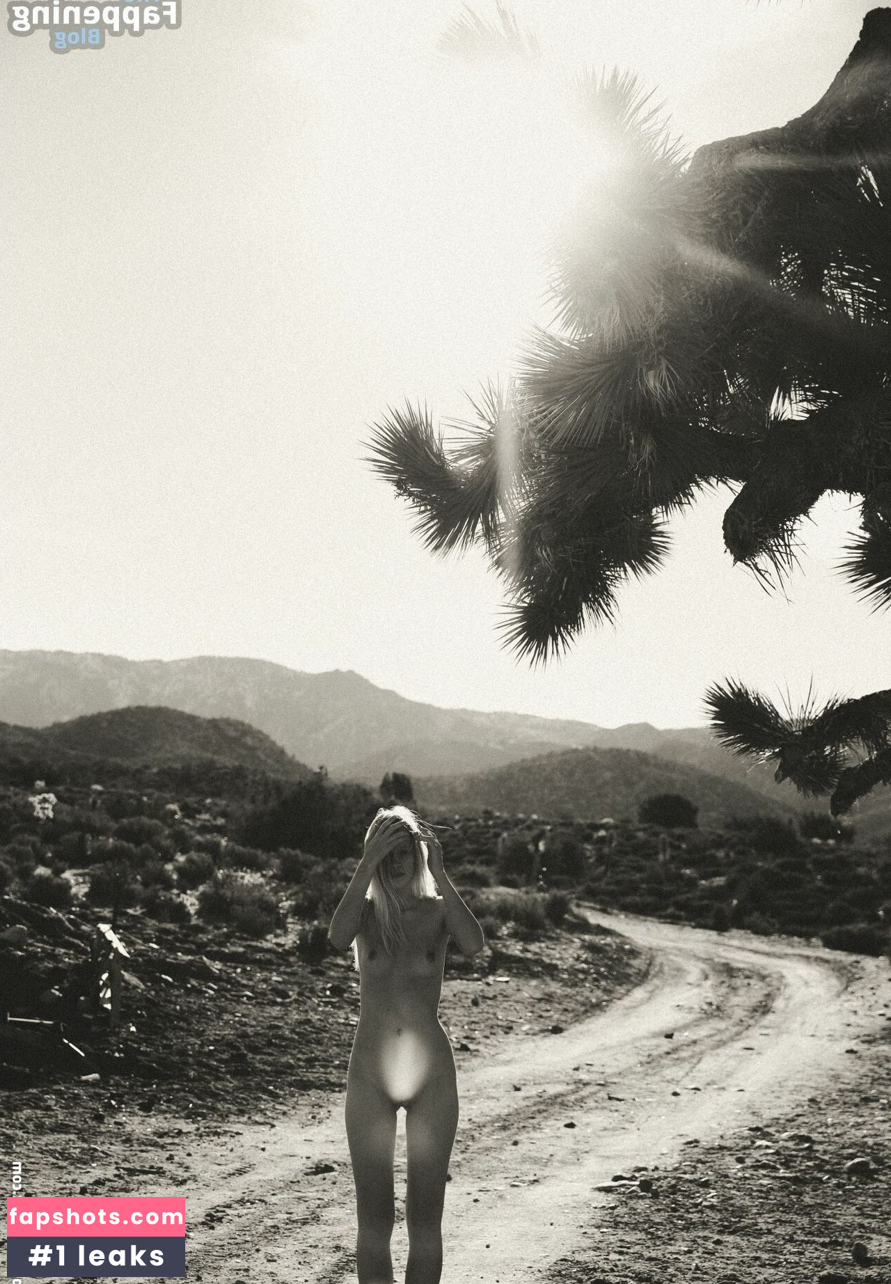 Cynda Mcelvana gallery photo #42