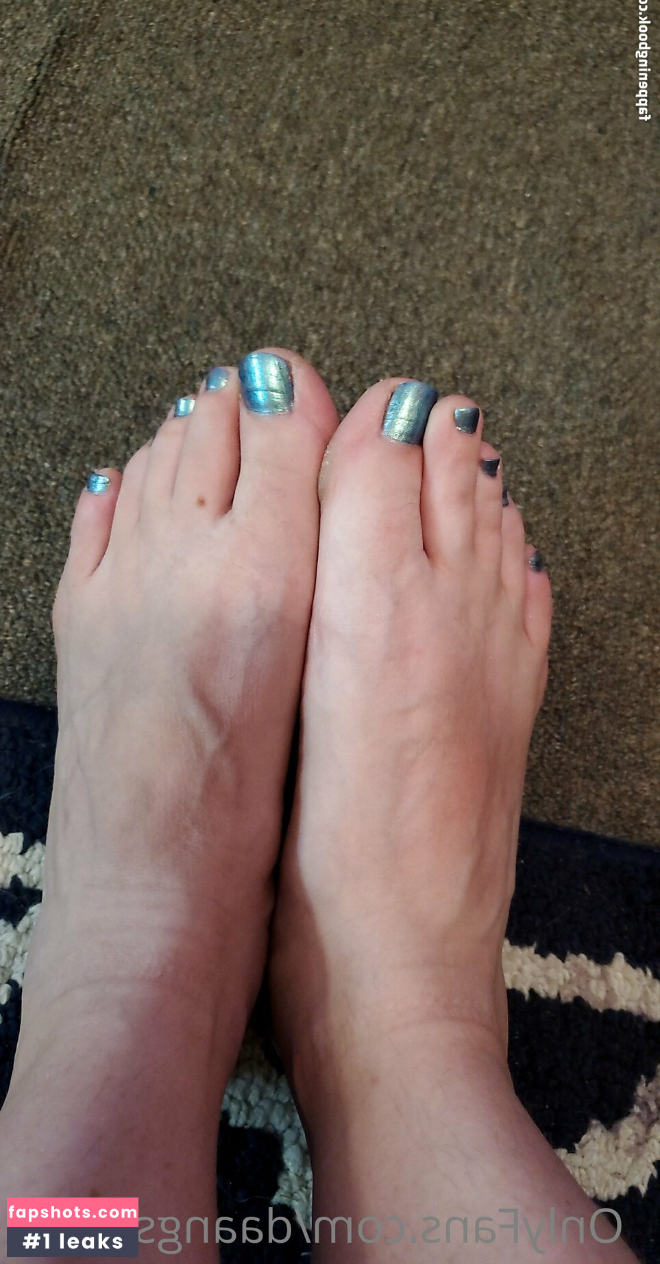 daangsydney gallery photo #5