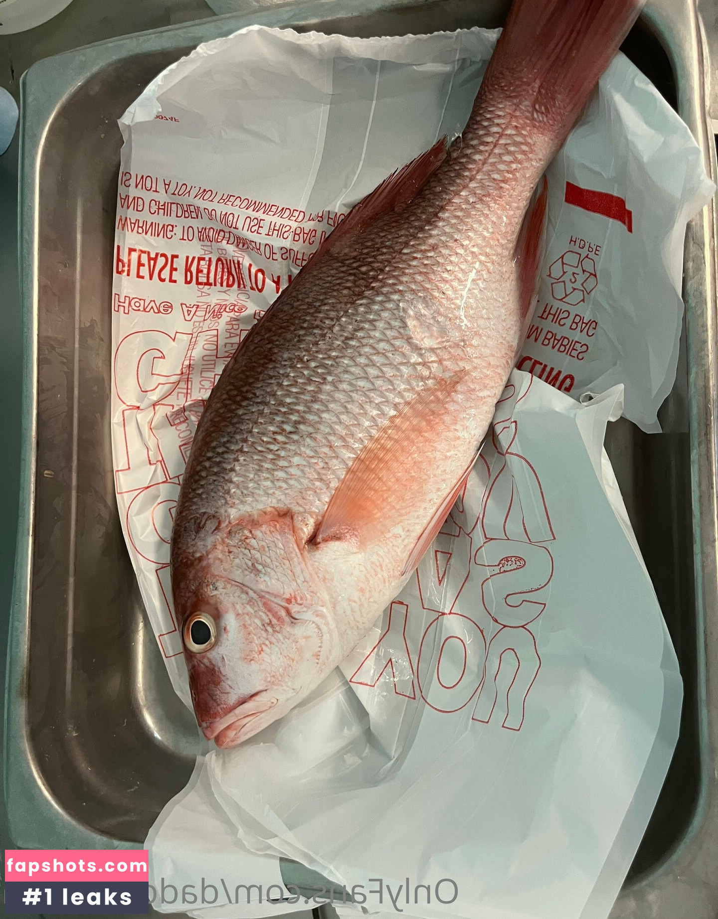 daddysdarliin gallery photo #16