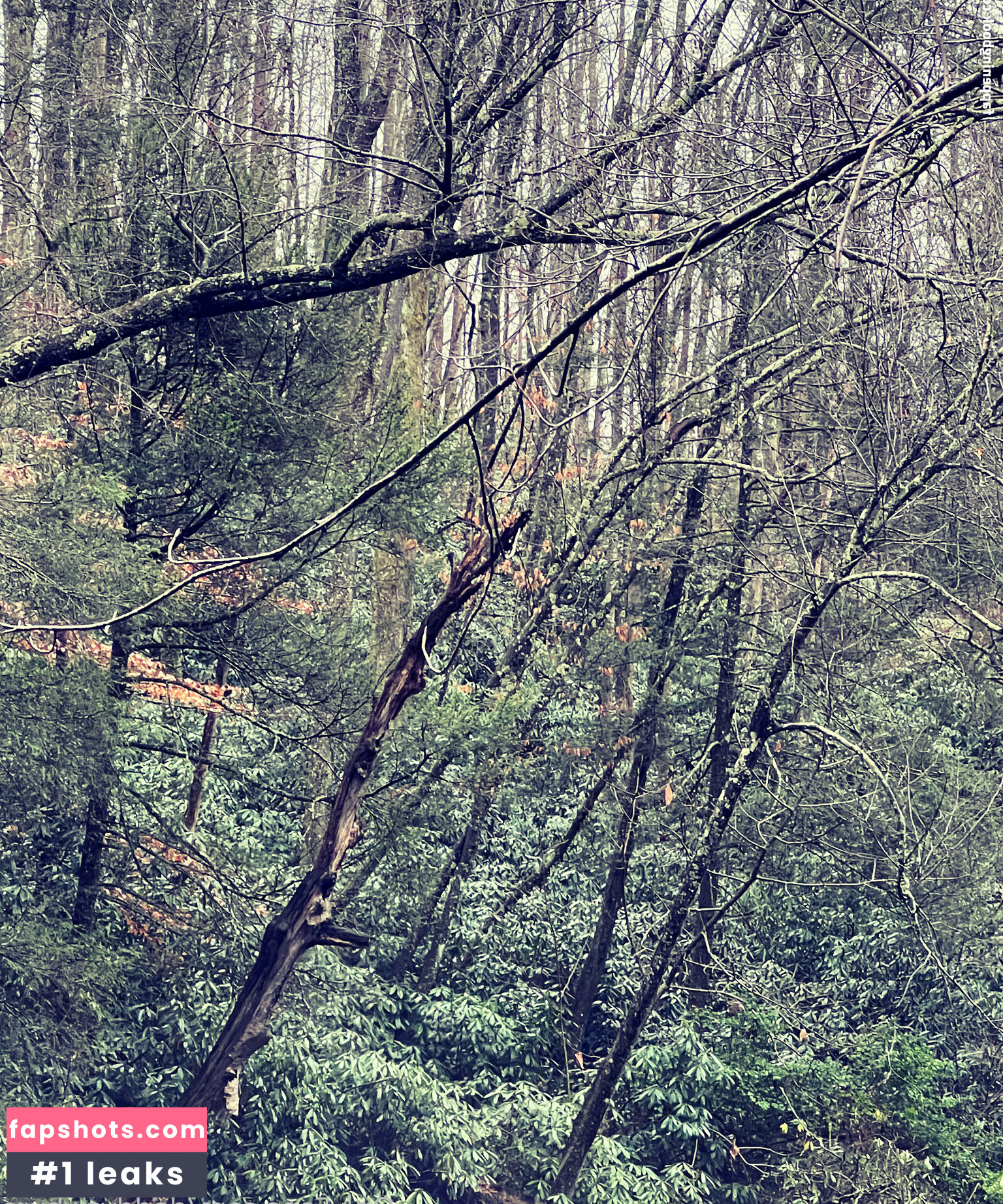 daddyswhxre Nahé úniky fotek pouze od fanoušků #25 - Fapshots