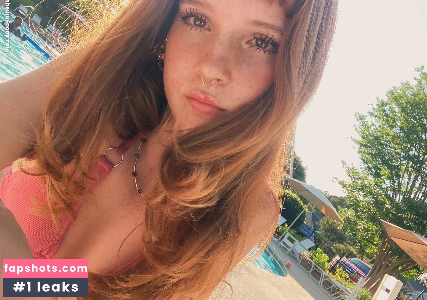 daffadil4 gallery photo #11