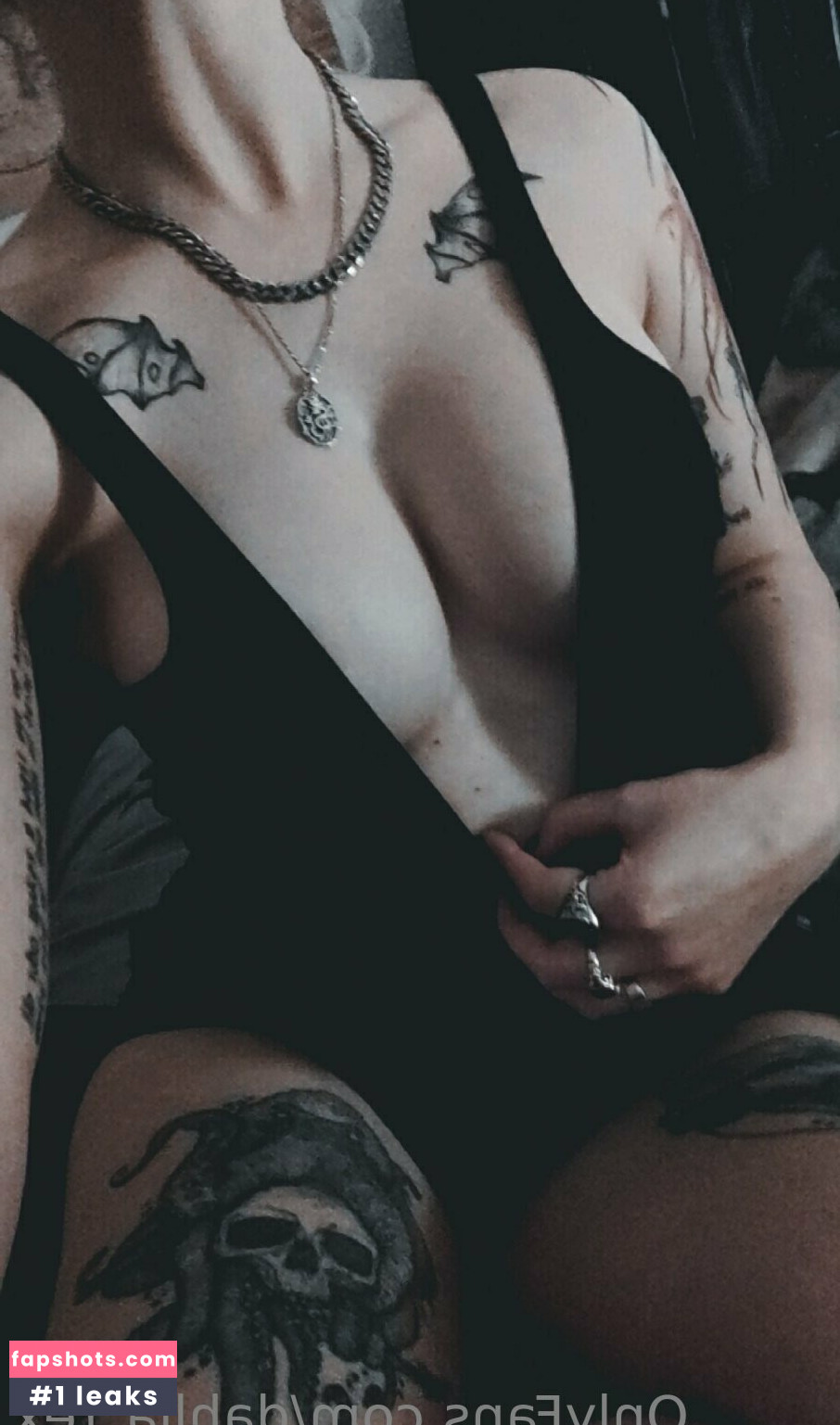 Dahlia Rex gallery photo #2