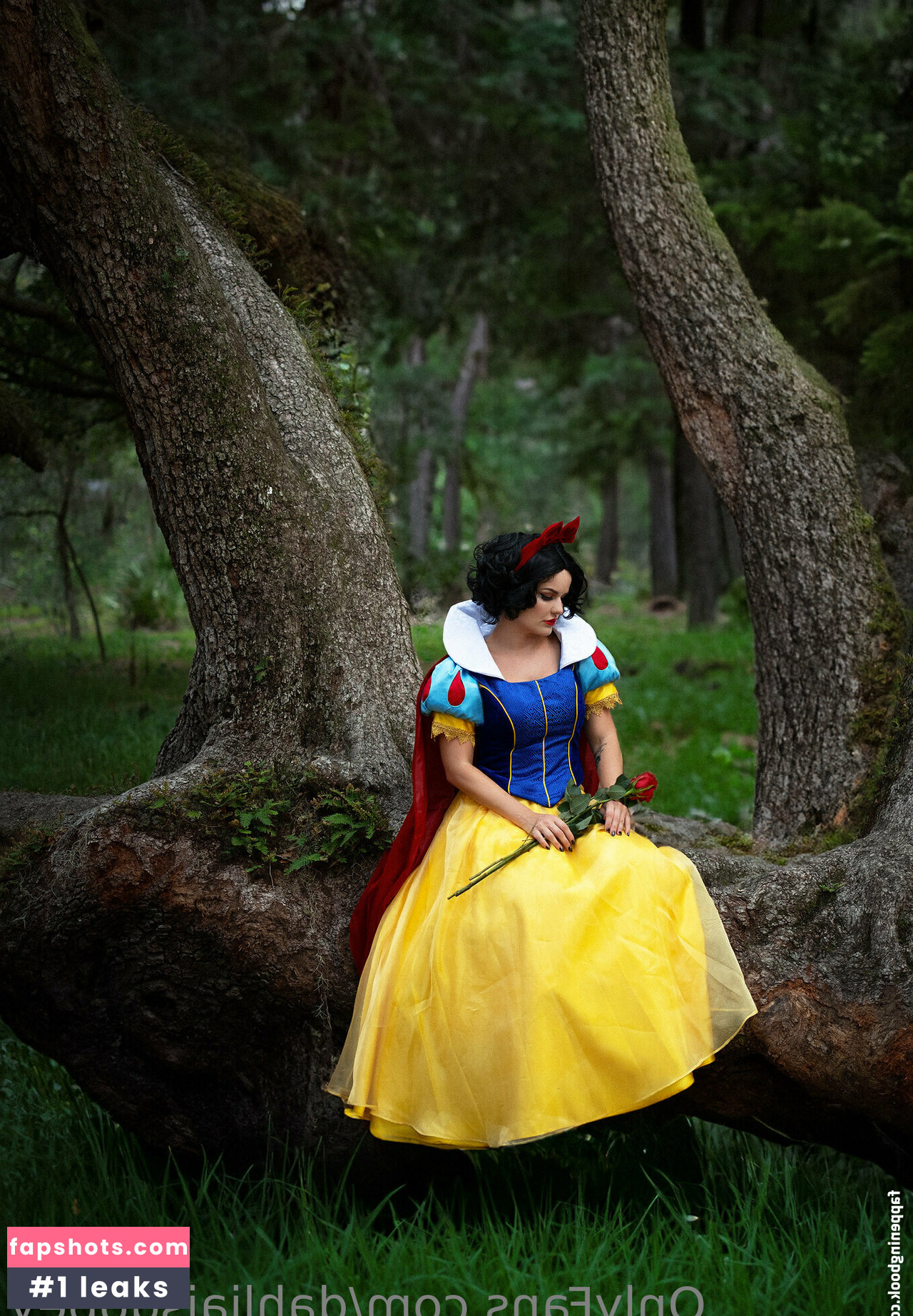 Dahliaisdopey gallery photo #2