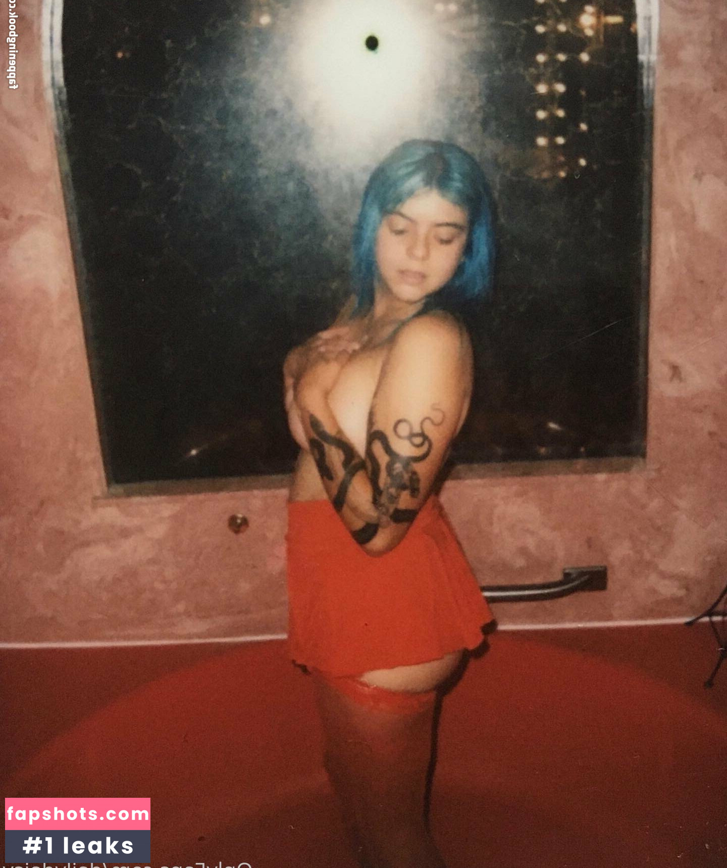 dailydaisy gallery photo #20